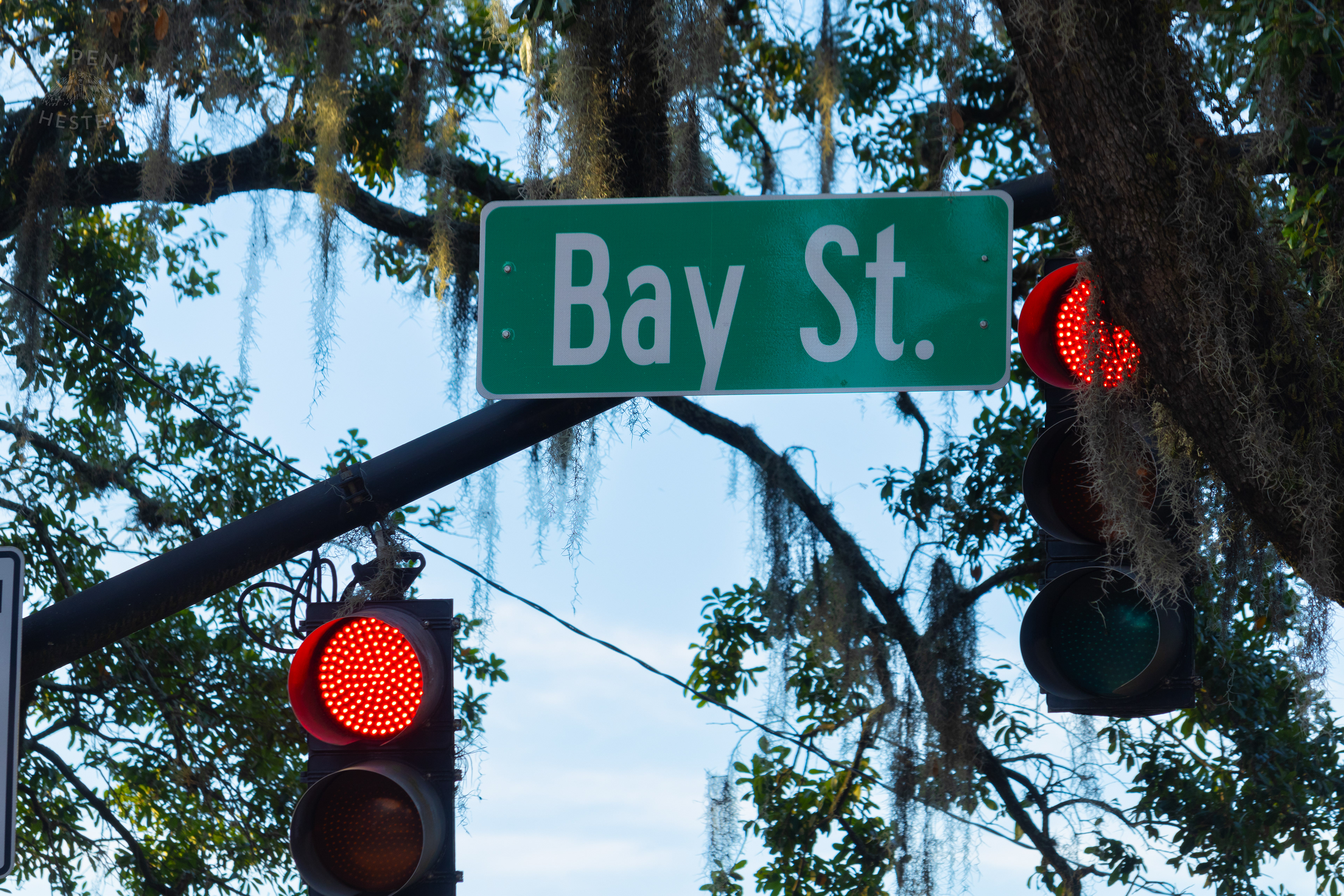 Bay Street Savannah Georgia. June 24th, 2024/Aspen Hester