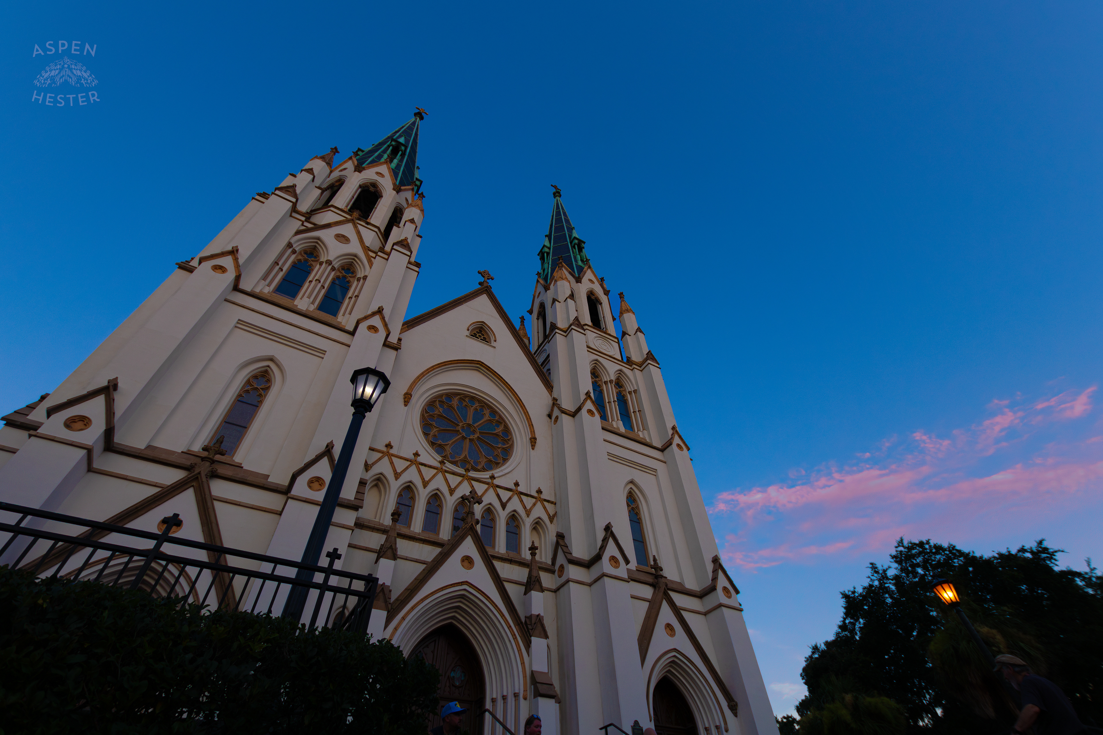 The Cathedral of St. John the Baptist Savannah Georgia. June 24th, 2024/Aspen Hester