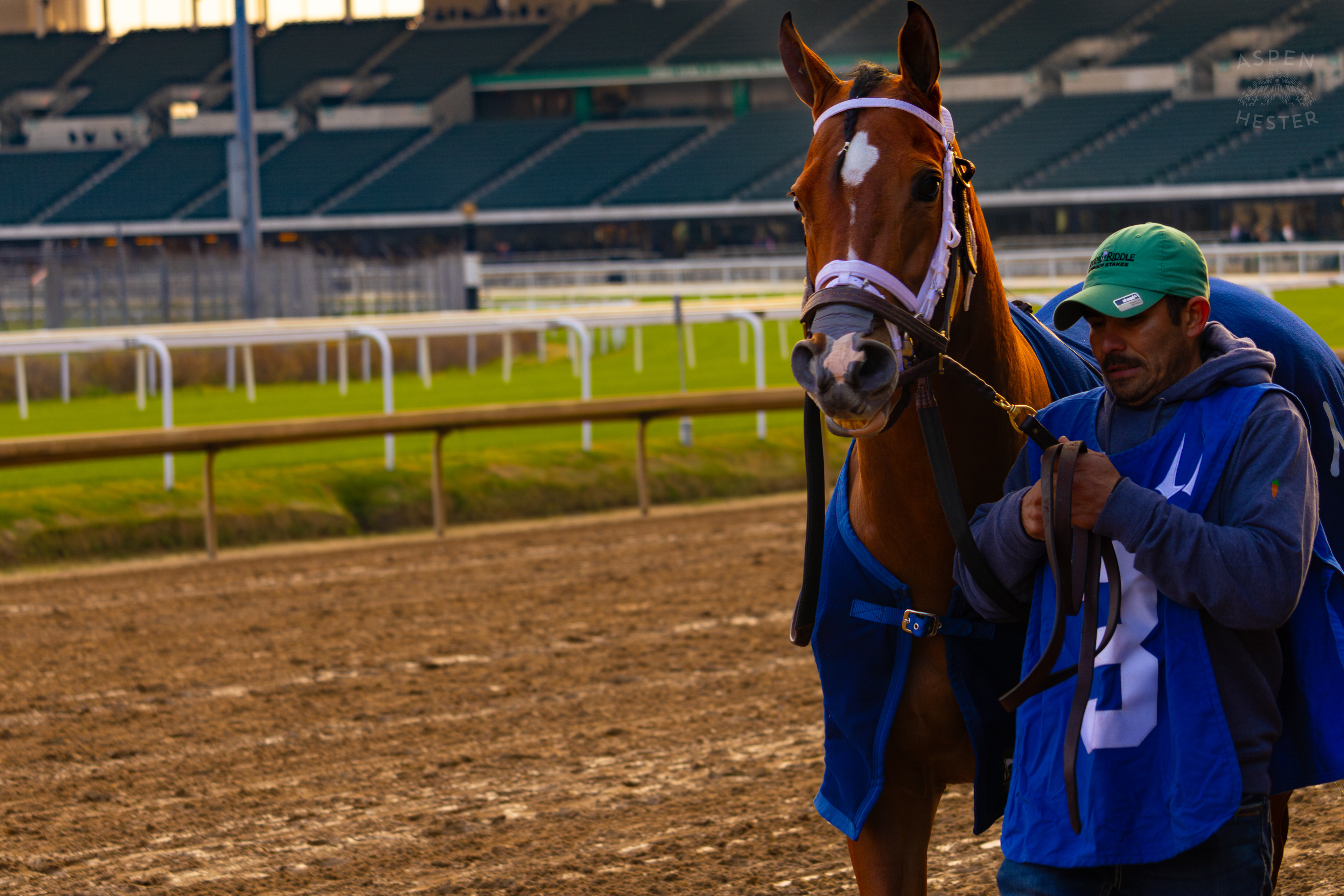 Horse #3 Duvet Day Being Led to The Starting Gate for Race 11 During The Thanksgiving Day Festivities At Churchill Downs. November 28th, 2024/Aspen Hester