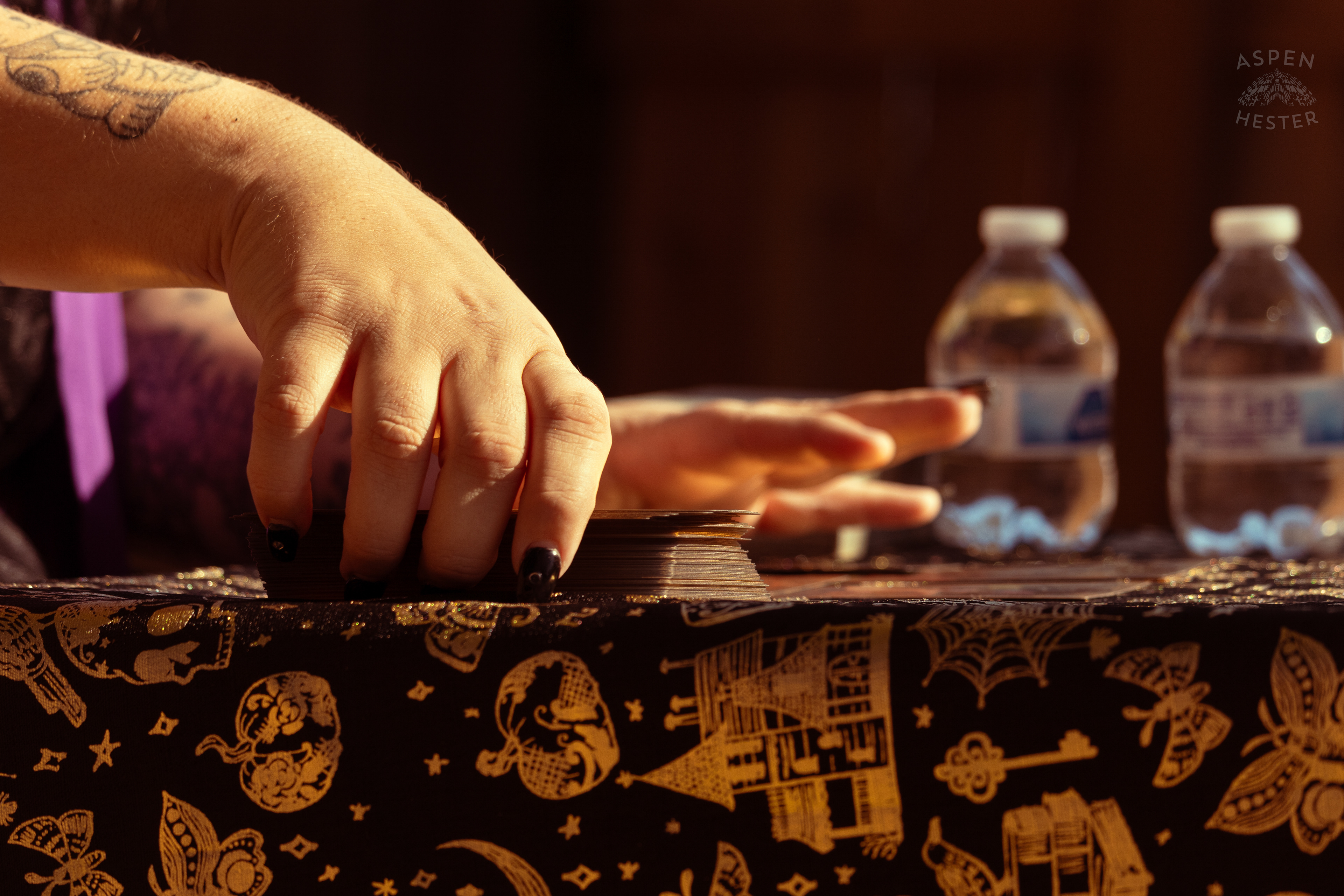 Tarot Readings at Stacey Edrington’s Yearly Witches Brunch in Mt. Washington. October 26th, 2024/Aspen Hester