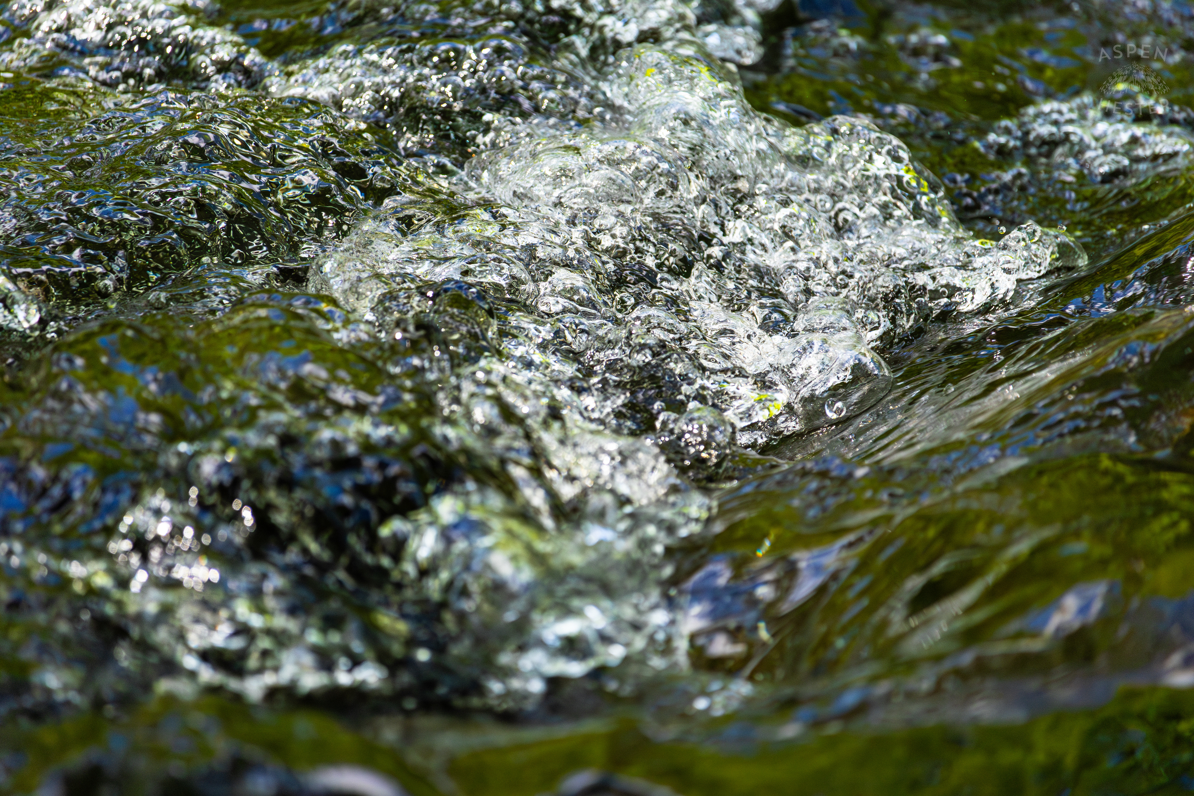 The Waters of Middle Fork Beargrass Creek in Cherokee Park. May 28th, 2024/Aspen Hester