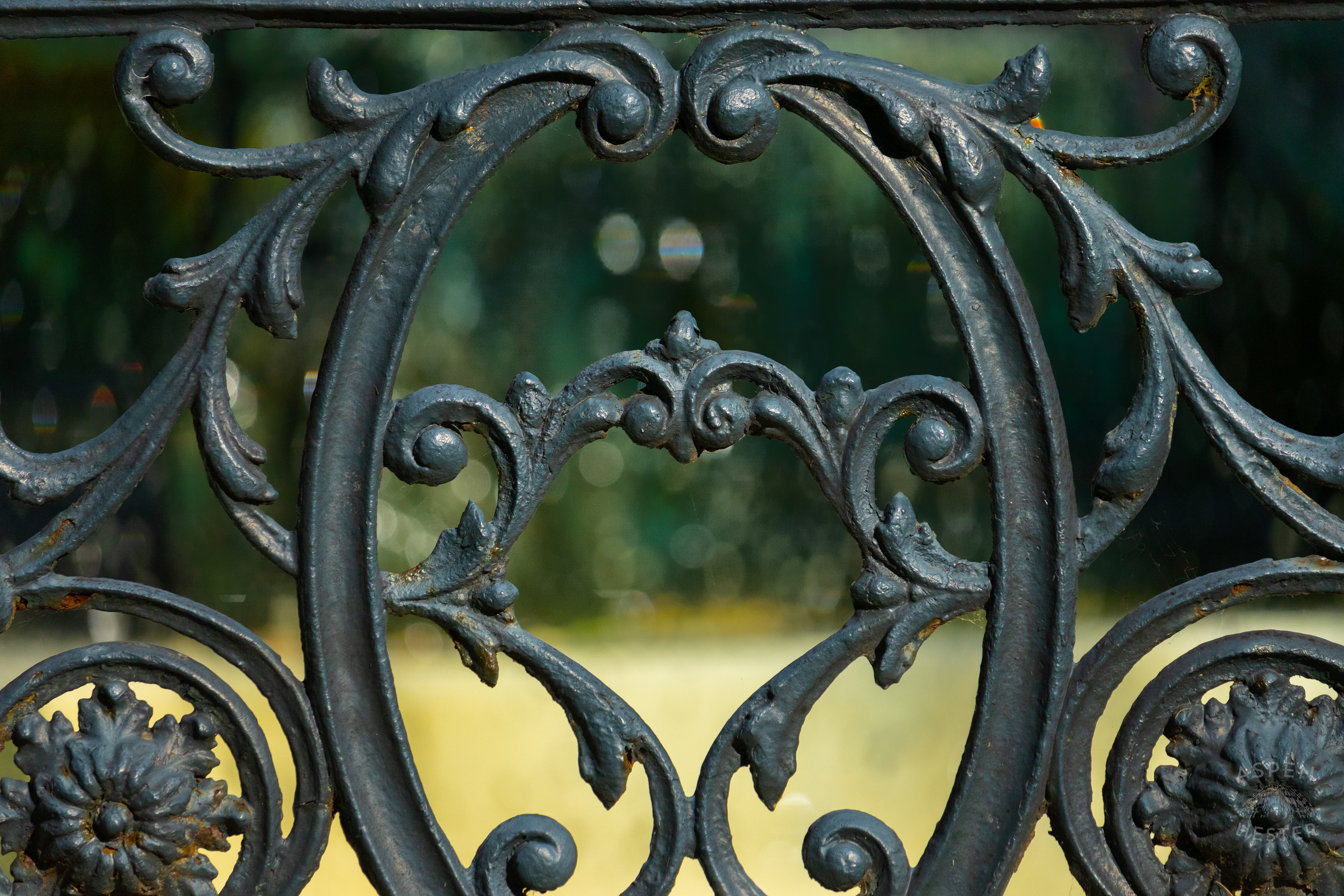 St James Court Fountain. June 6th, 2024/Aspen Hester