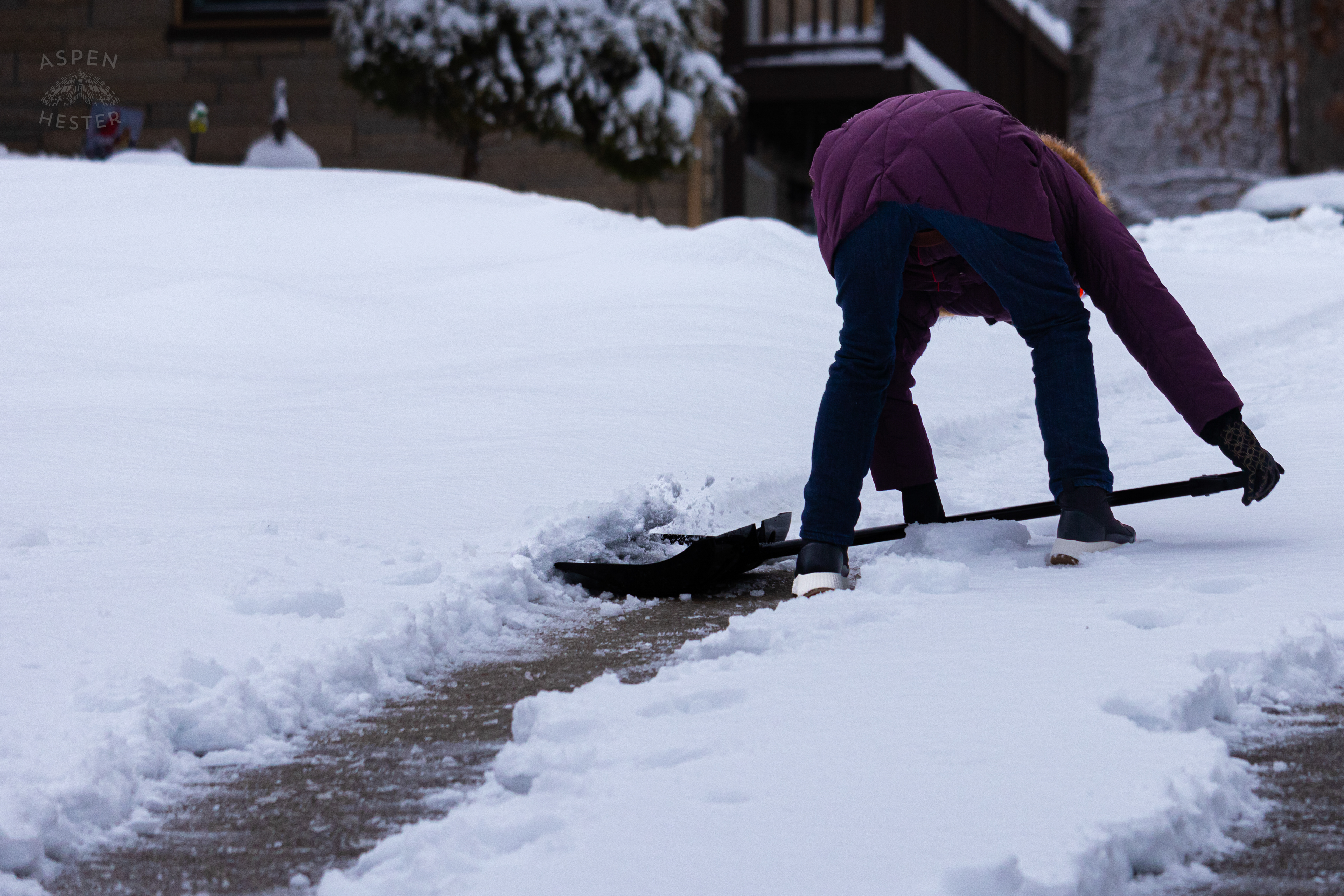Susan Orloff Shoveling Her Long Waverly Hills Driveway After Winter Storm Blair Dropped Inches of Snow and Ice. January 6th, 2025/Aspen Hester