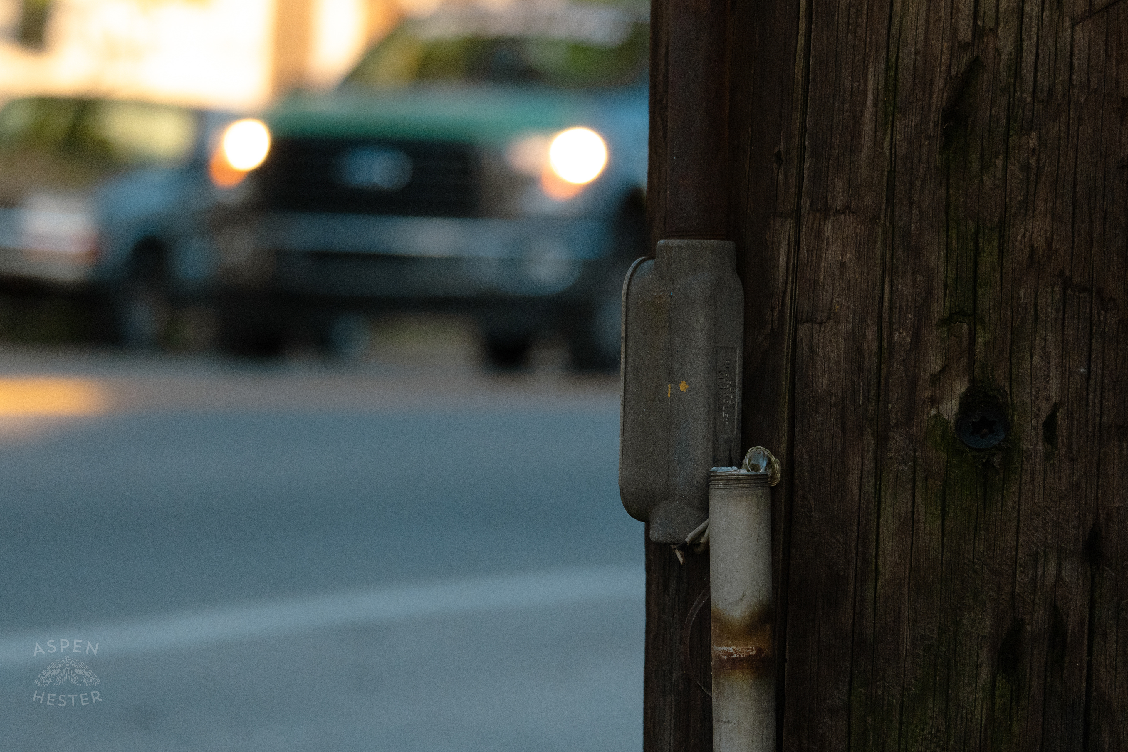 Golden Hour on Preston Street. May 30th, 2024/Aspen Hester 