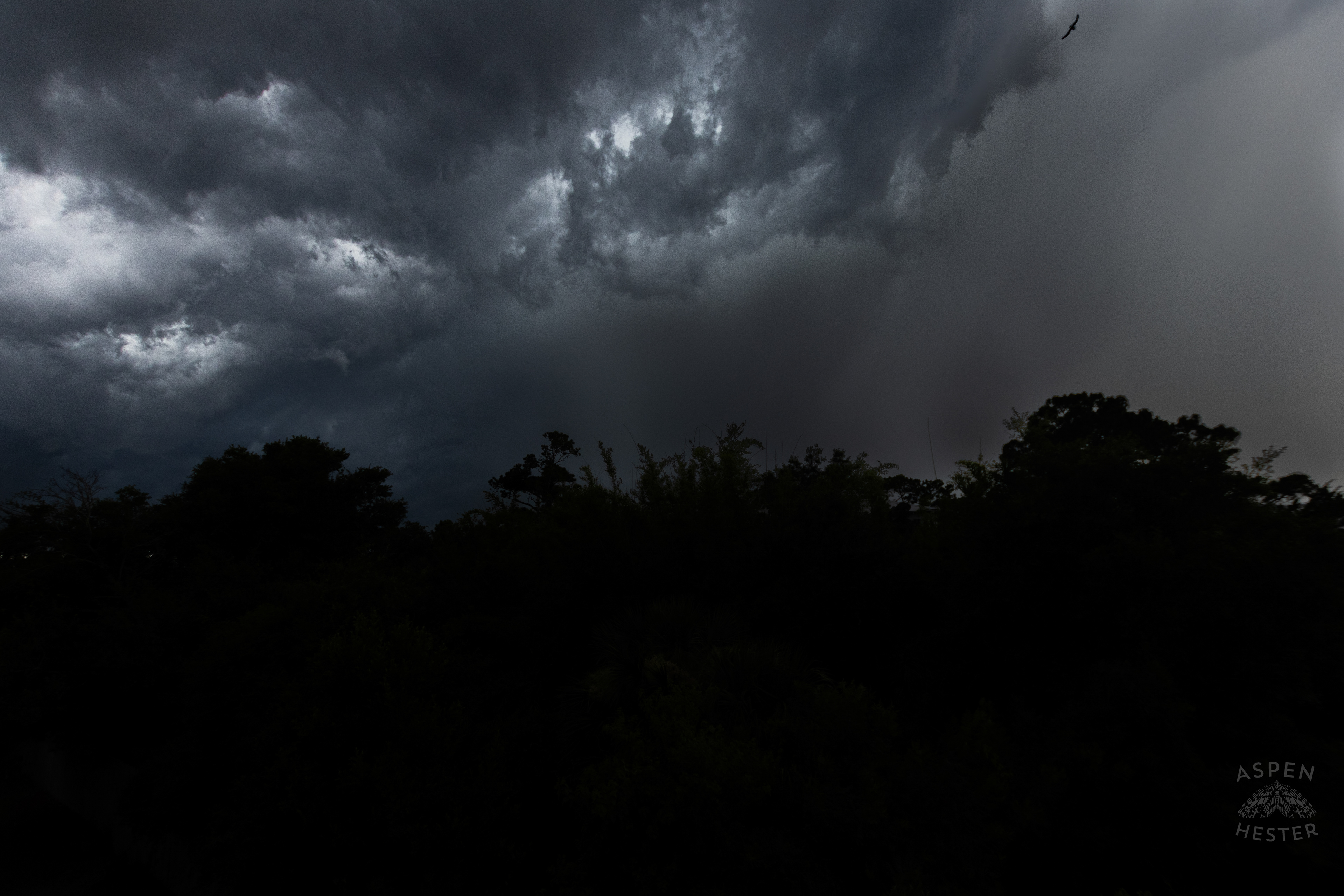 A Thunderstorm Rolls Over Tybee Island Georgia. June 27th, 2024/Aspen Hester