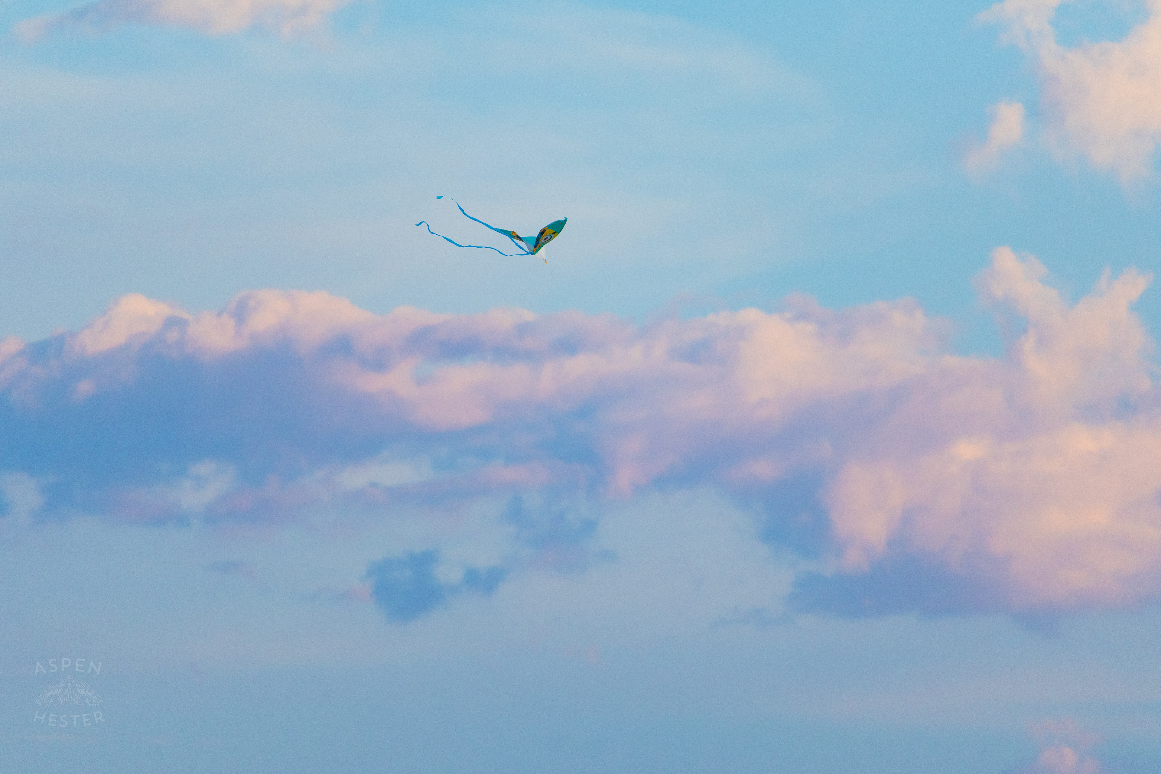 Kite Flying Over Tybee Island Georgia. June 23rd, 2024/Aspen Hester