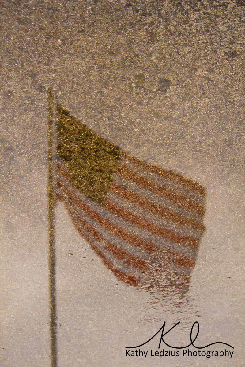 Reflected in Puddle