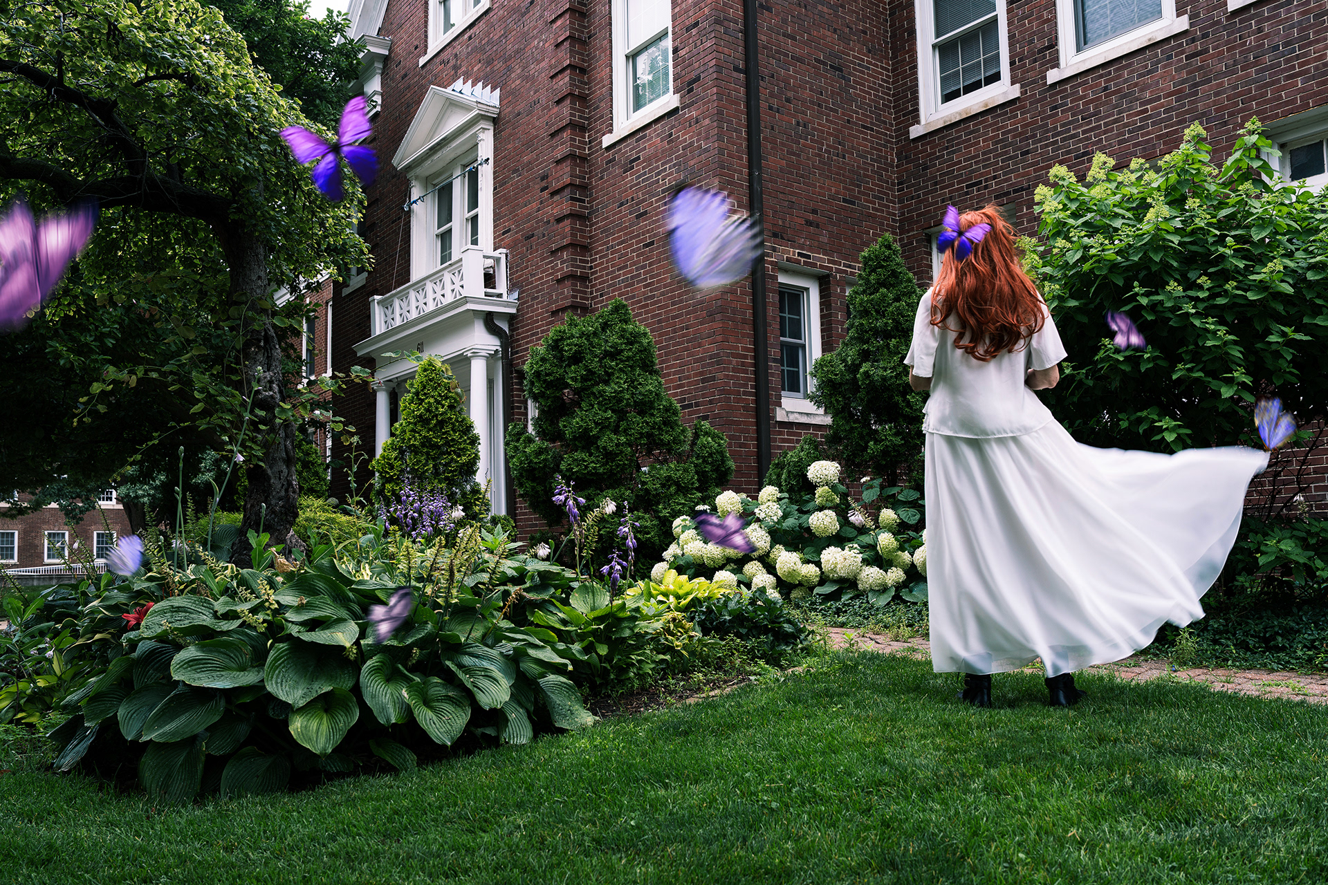The Butterfly Effect