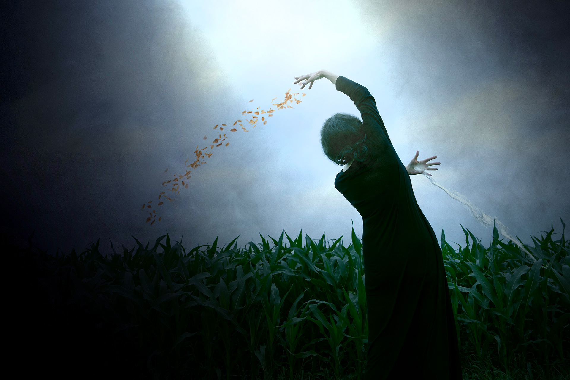 The Last Sowing