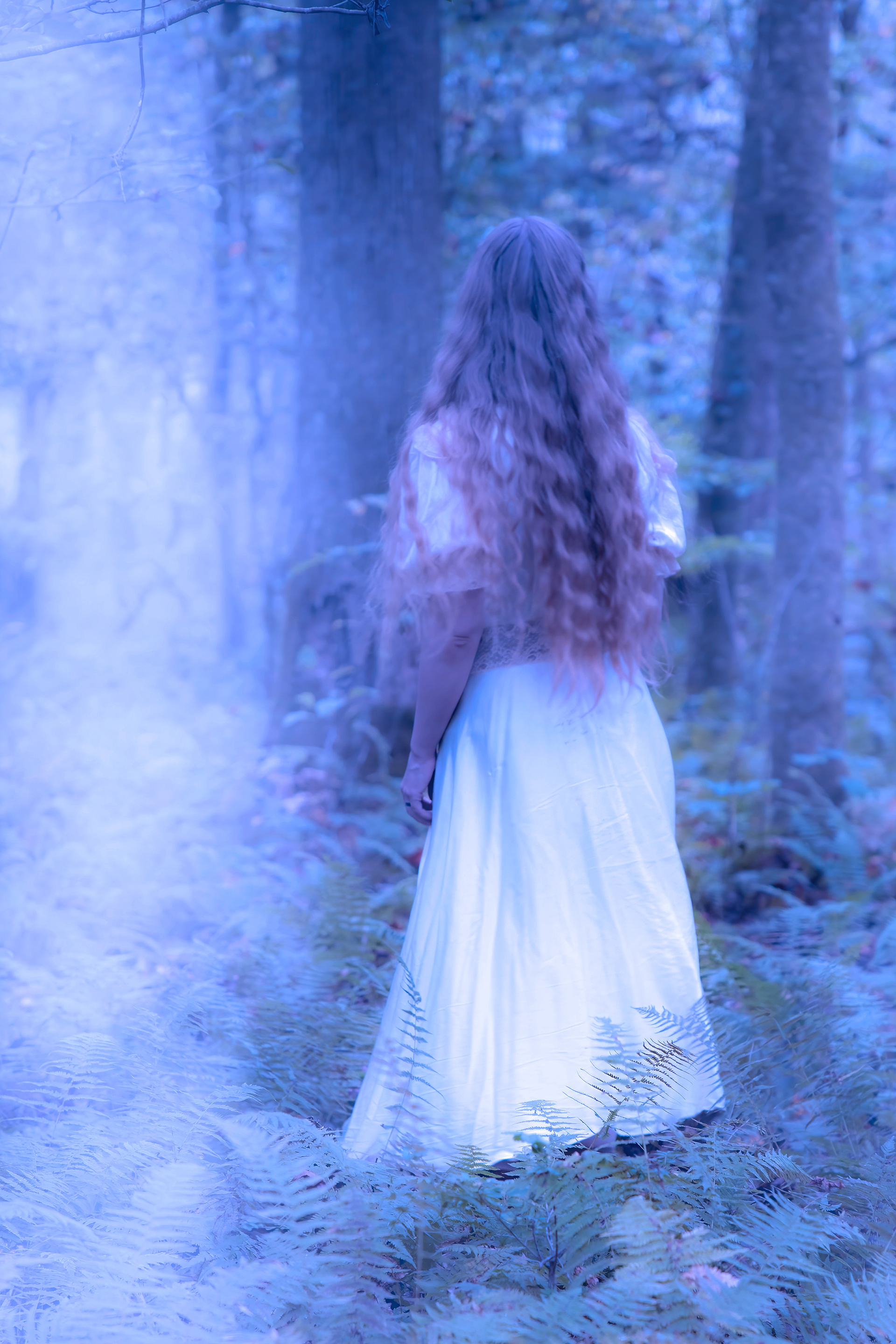 Lost In Blue