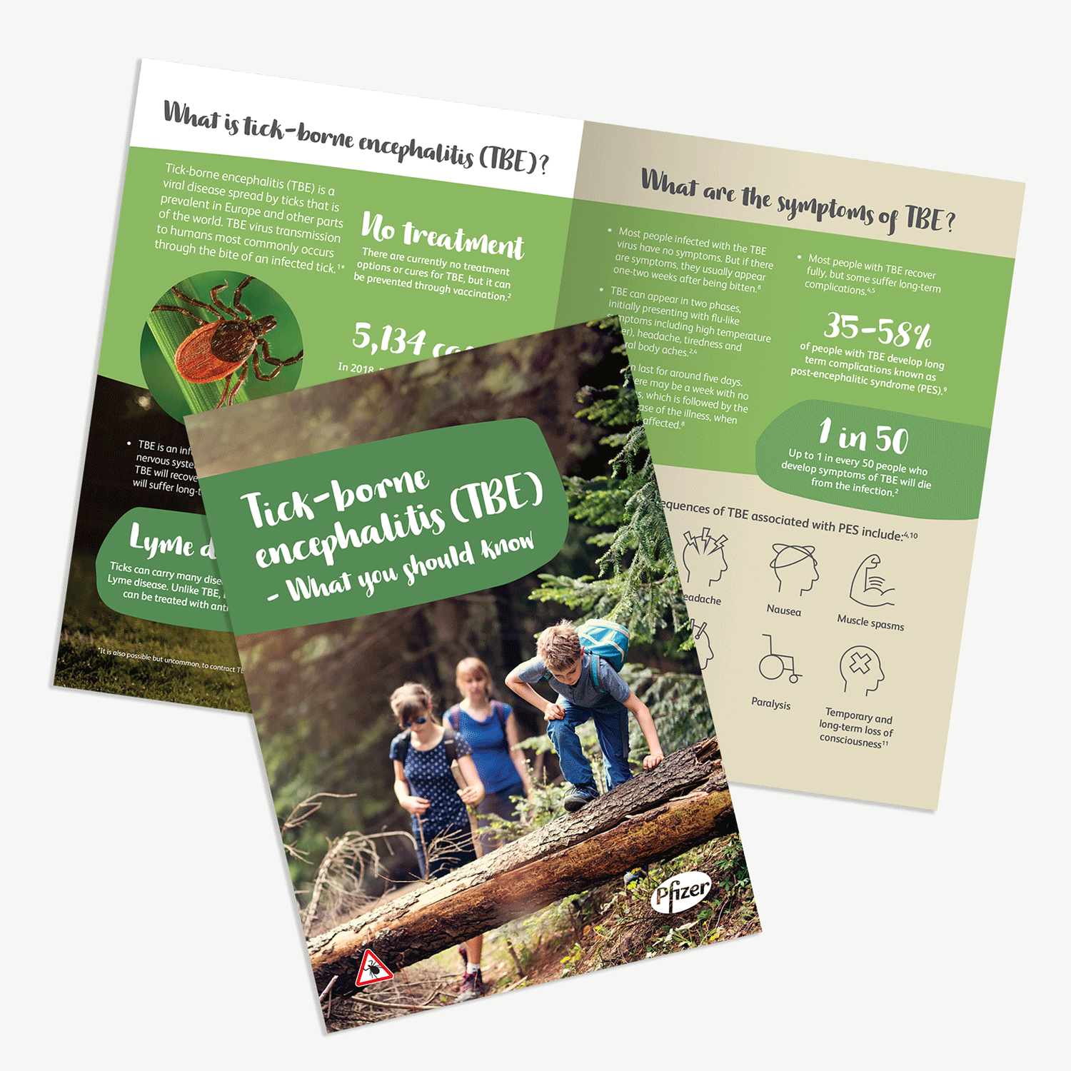 Flyer & Brochure - TBE awareness campaign