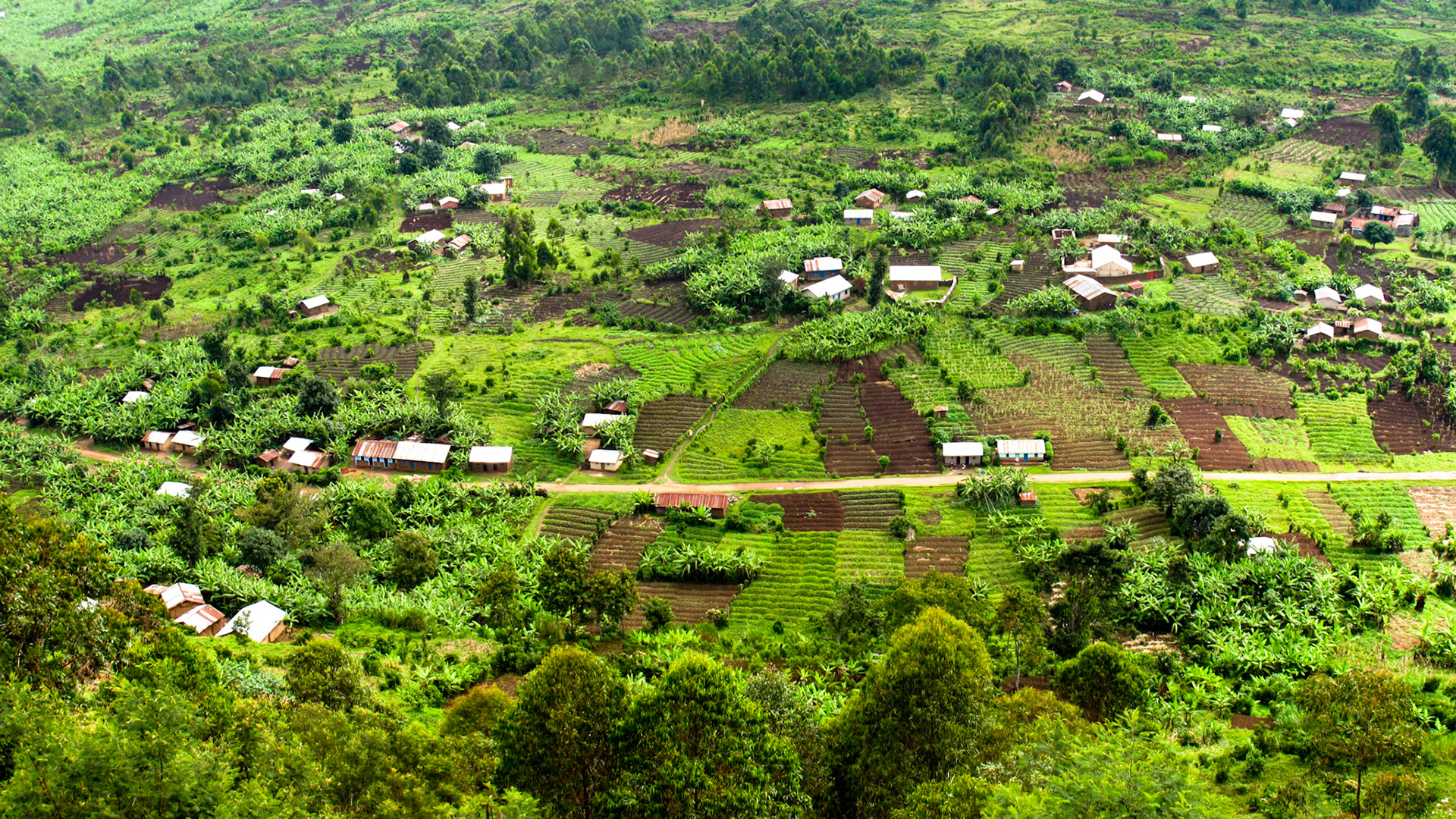 Kisoro Region, Uganda