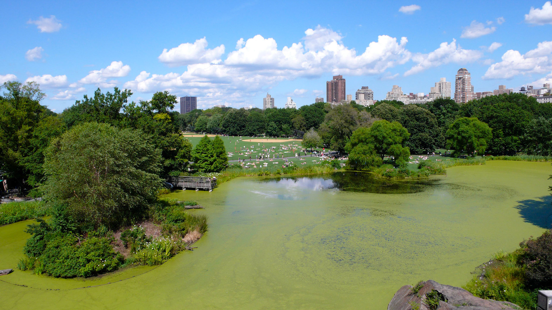 Central Park, NY, USA