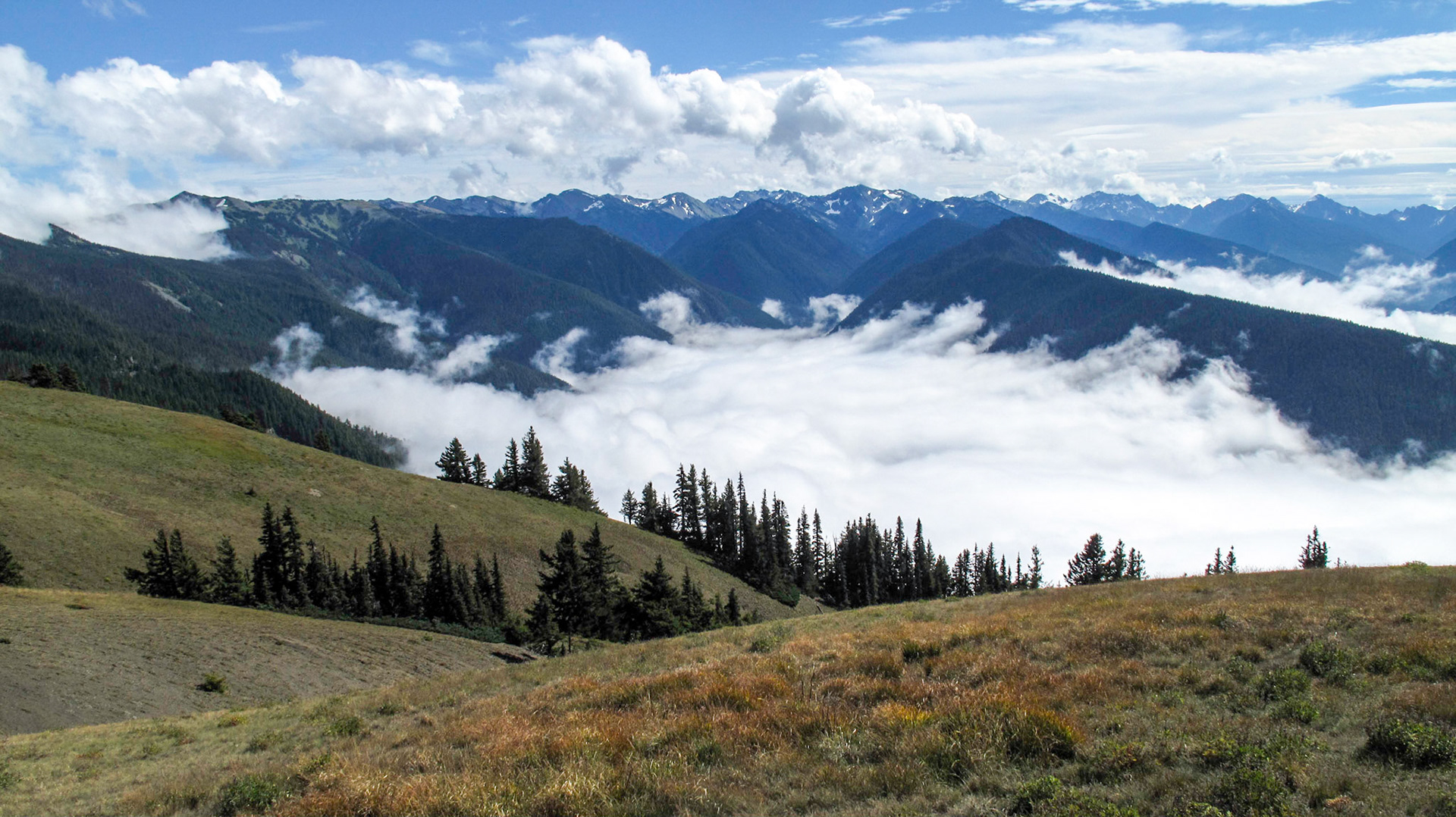 Washington State, USA