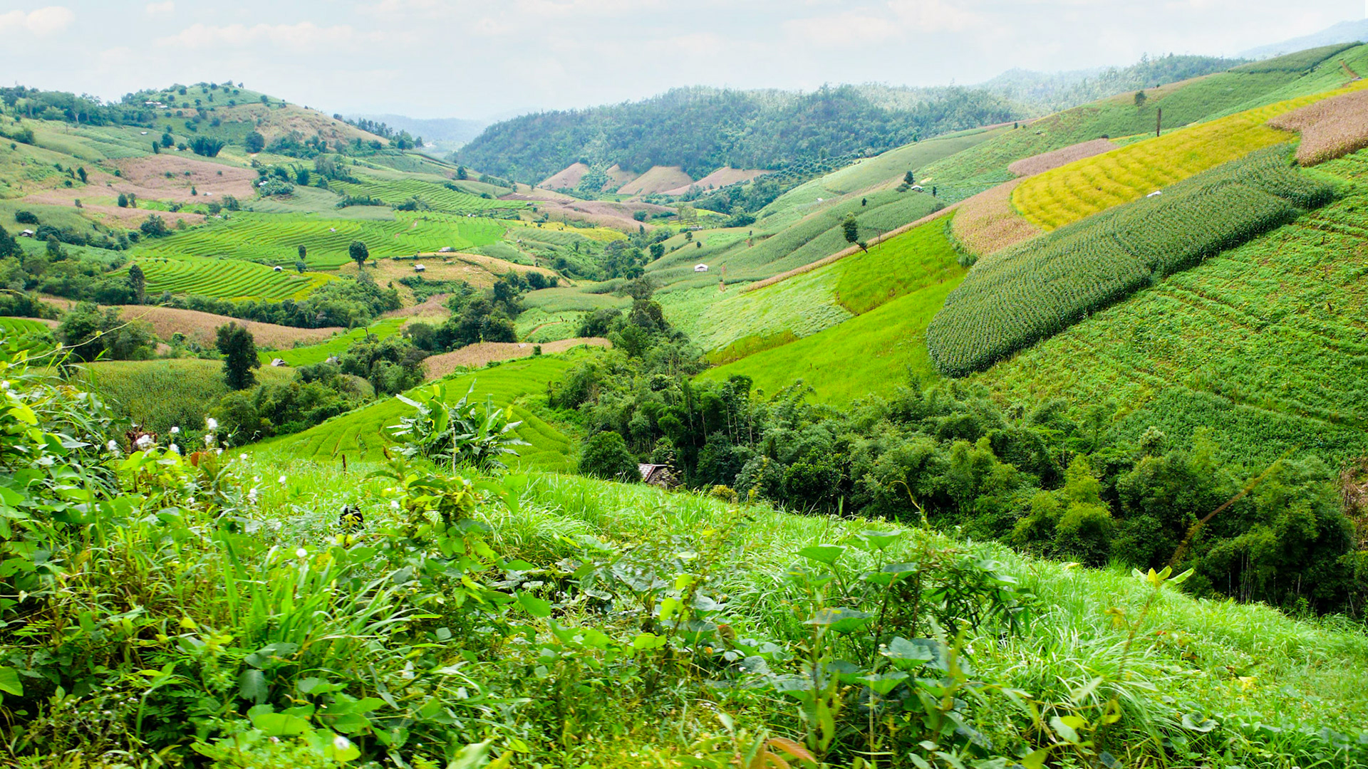 Northern Laos