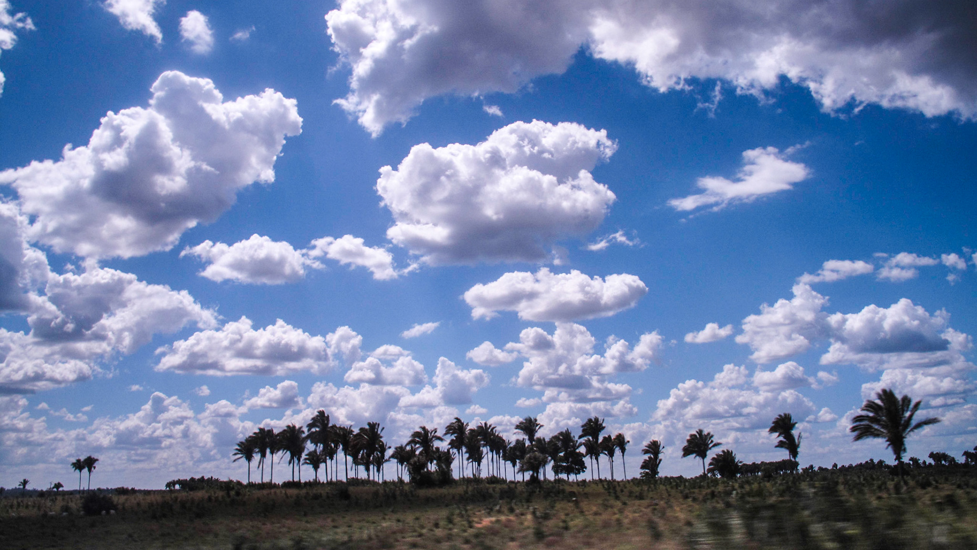 Minas Gerais, Brazil