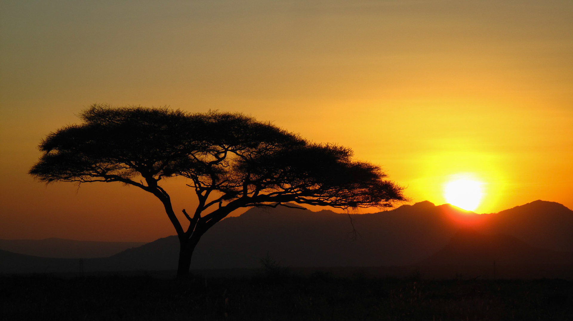 Tanzania