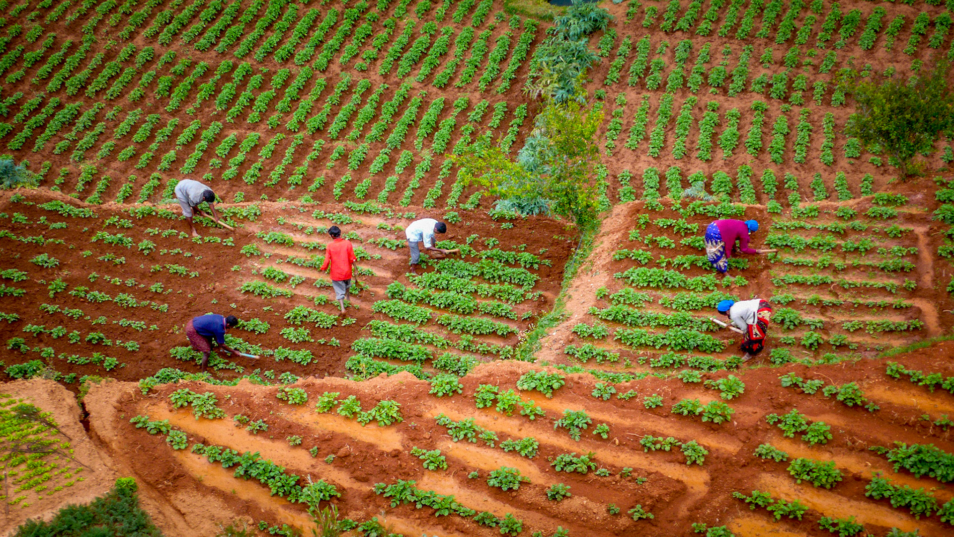 Ooty, India