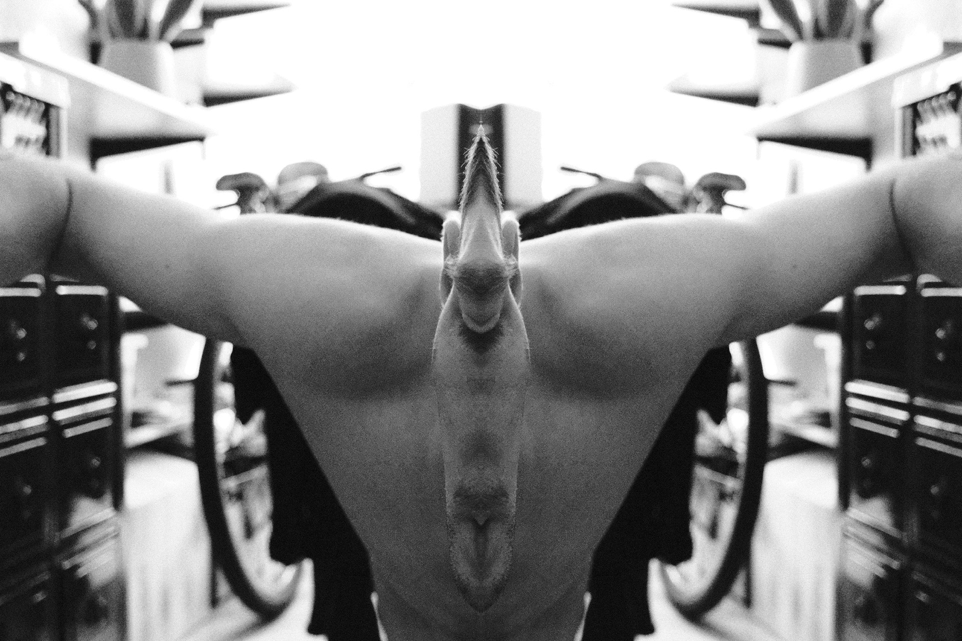 ciało odbicie lustrzane fotografia piotr podgajny