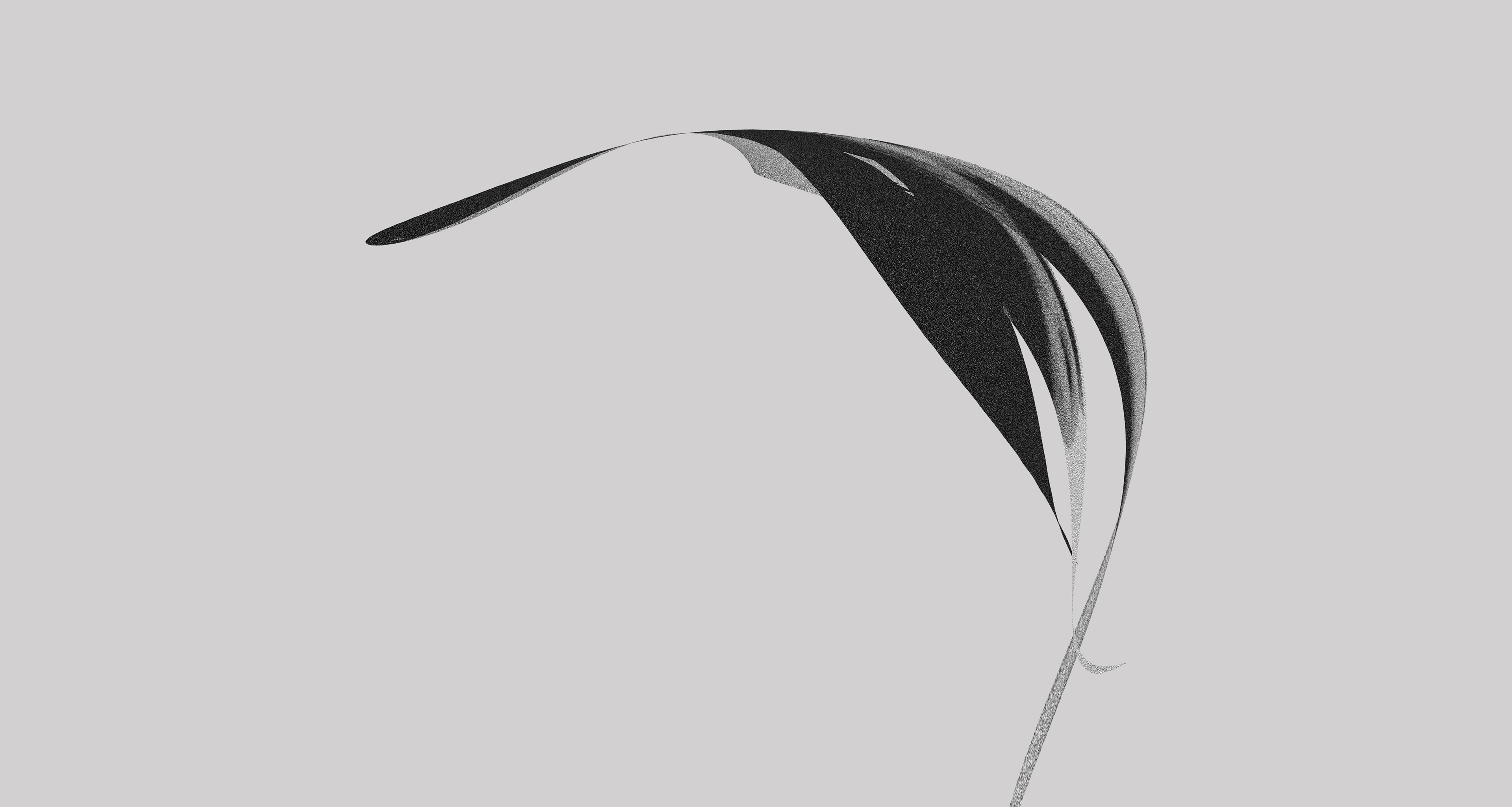 coś w kształcie liścia, ale czy to liść?