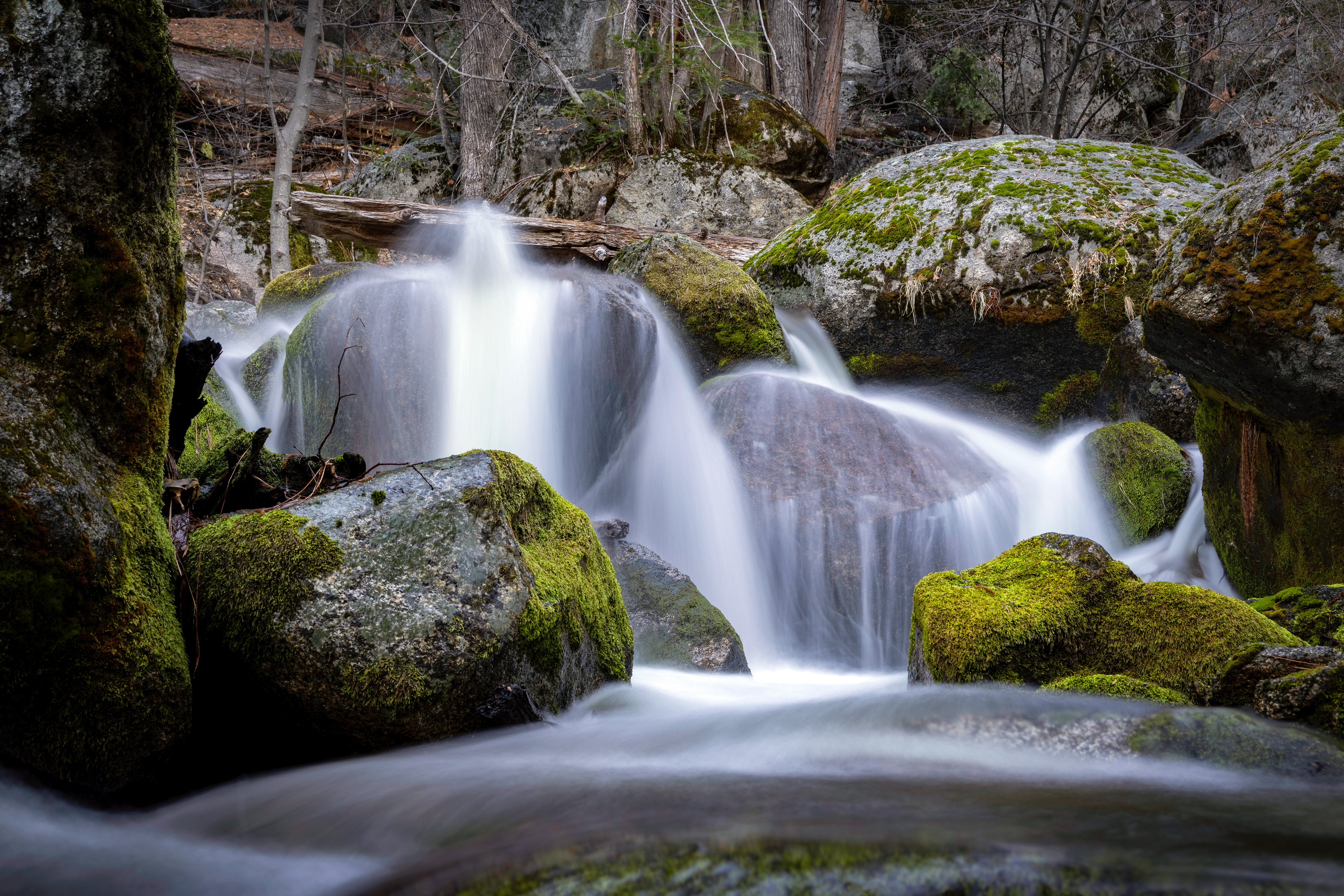 The Cascades