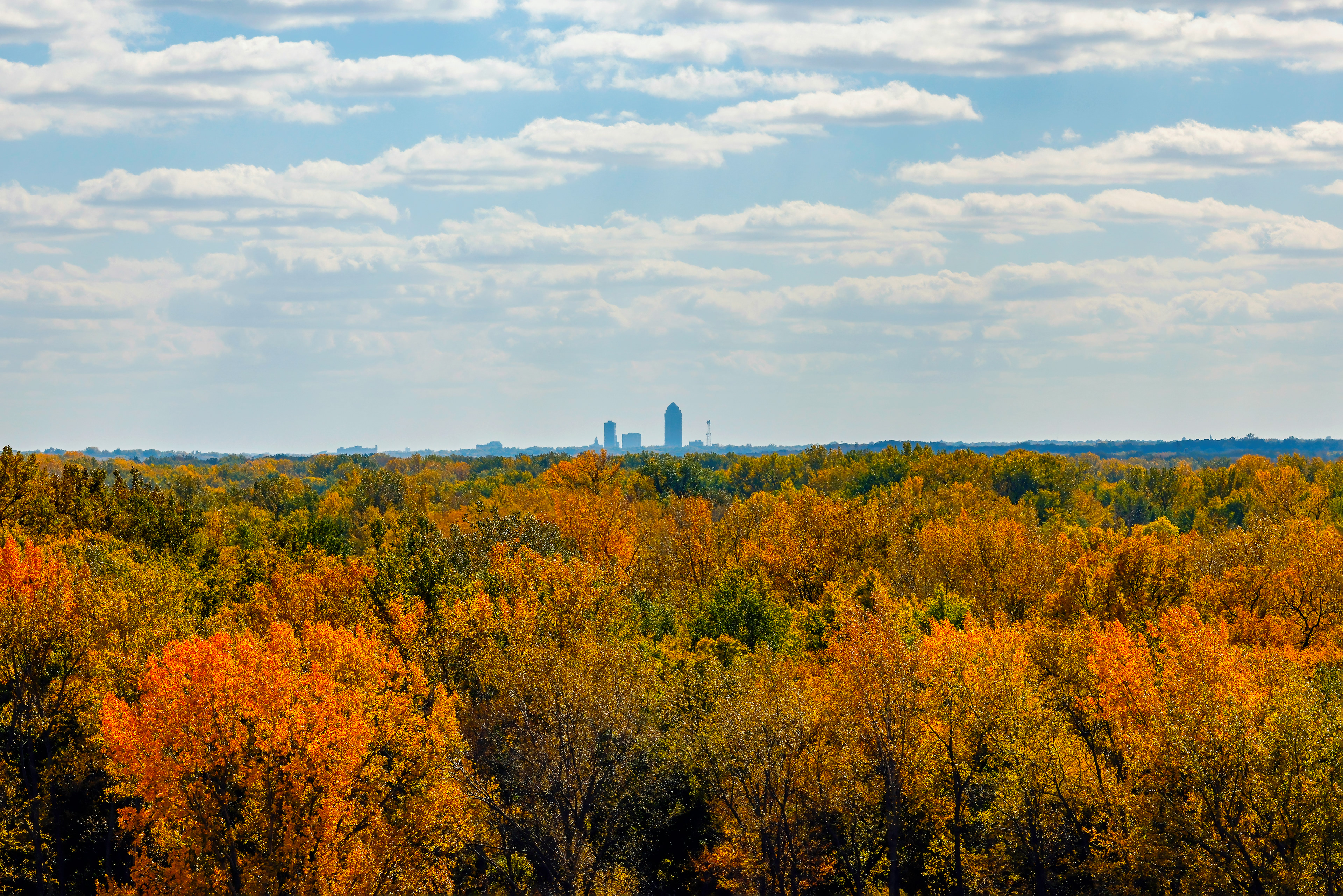 Skyline with Fall Colors