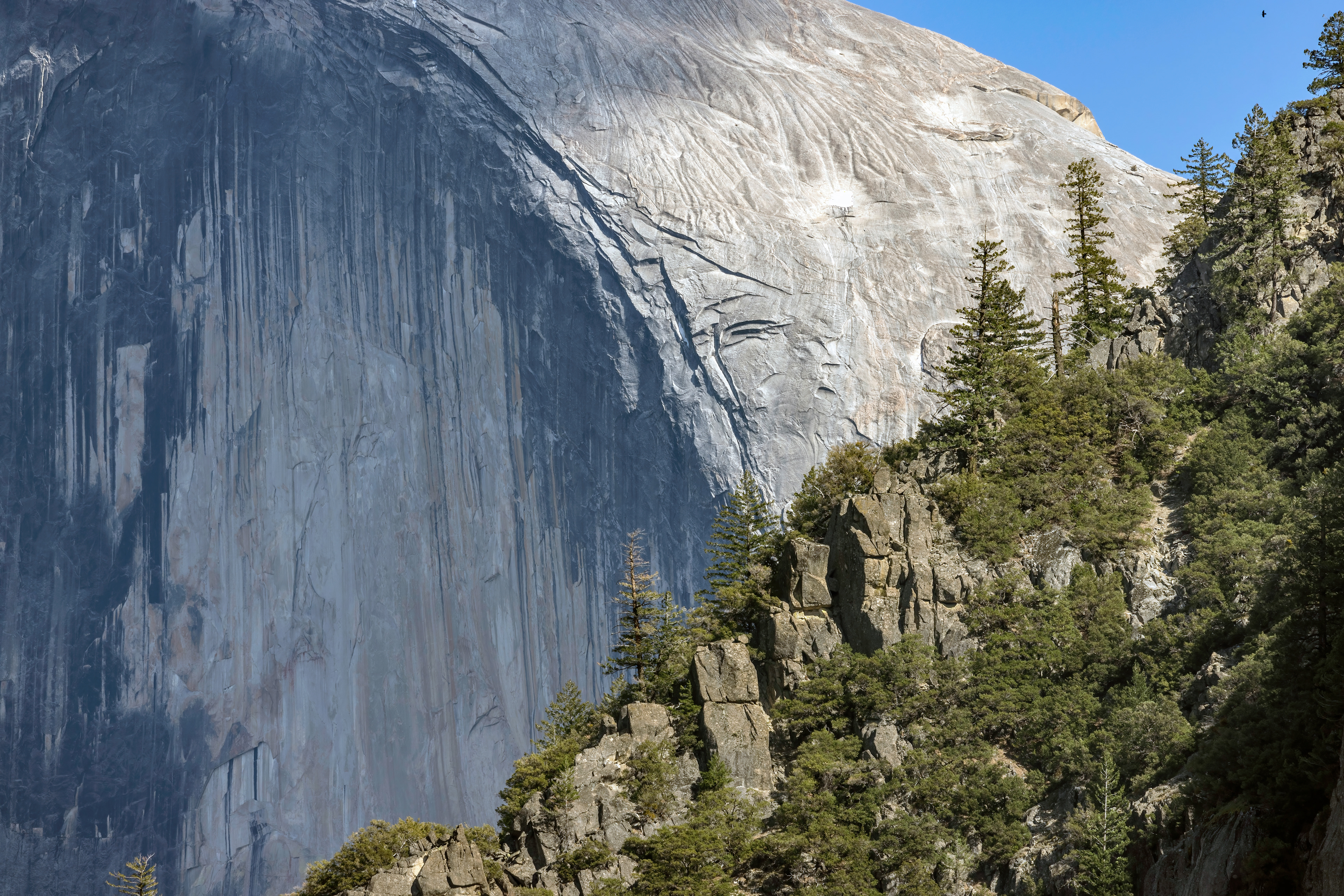 Close-Up of Half Dome