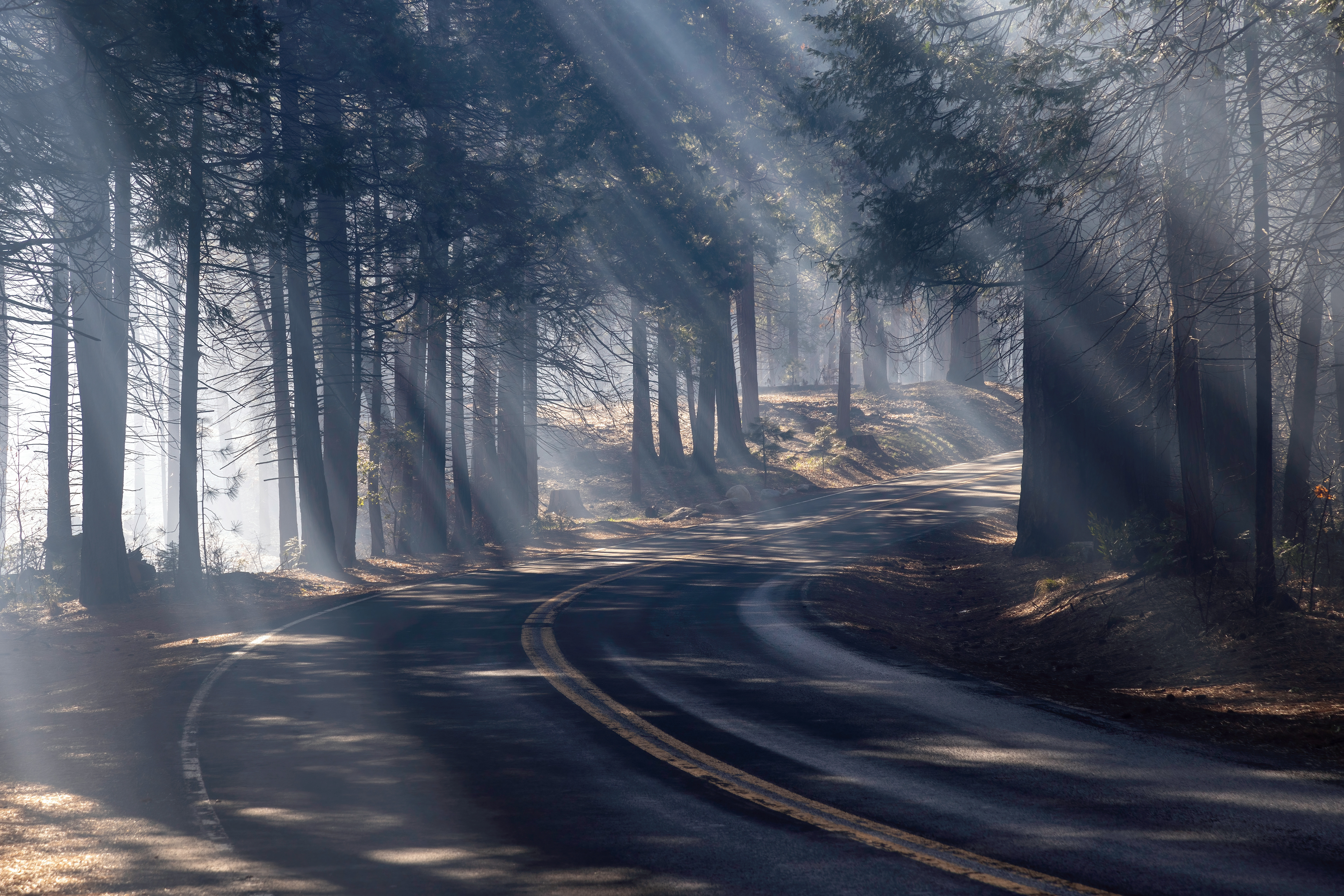 Light Rays in the Valley