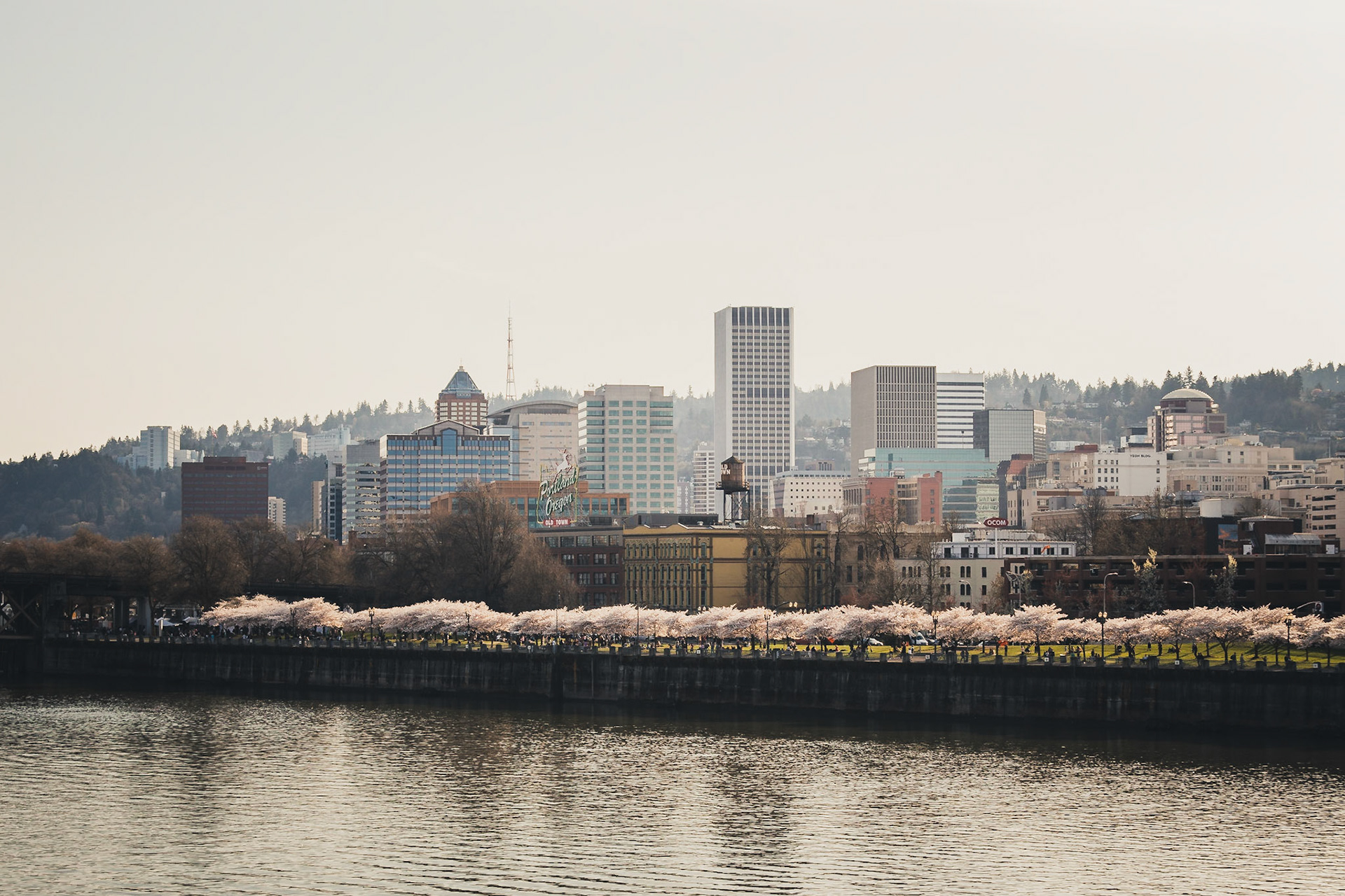 Portland Waterfront