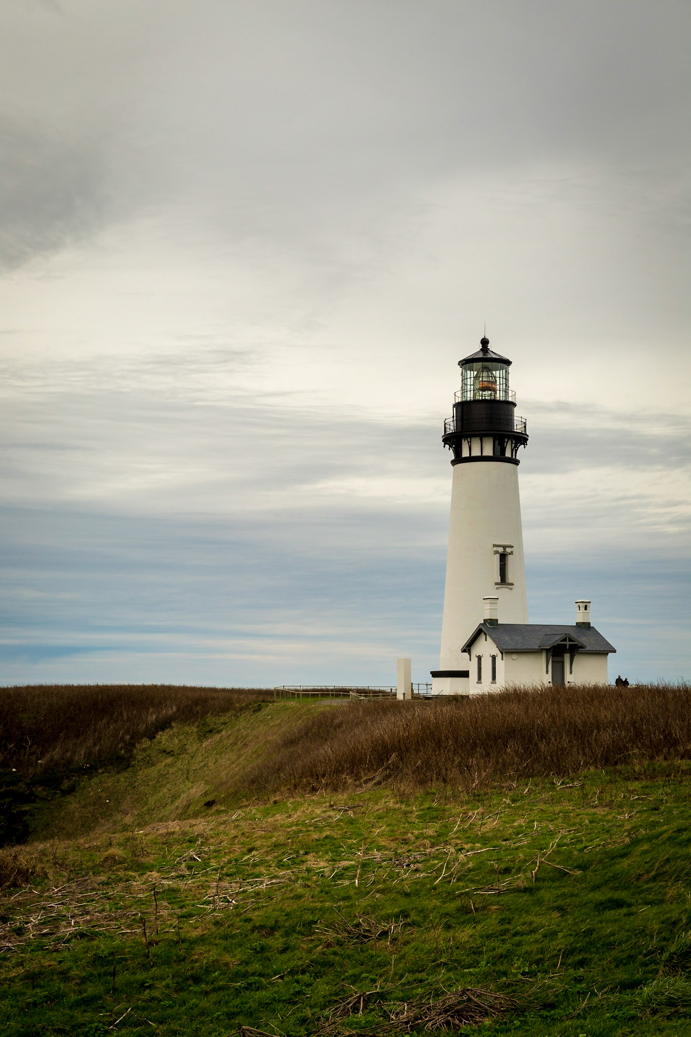 Yaquina Head