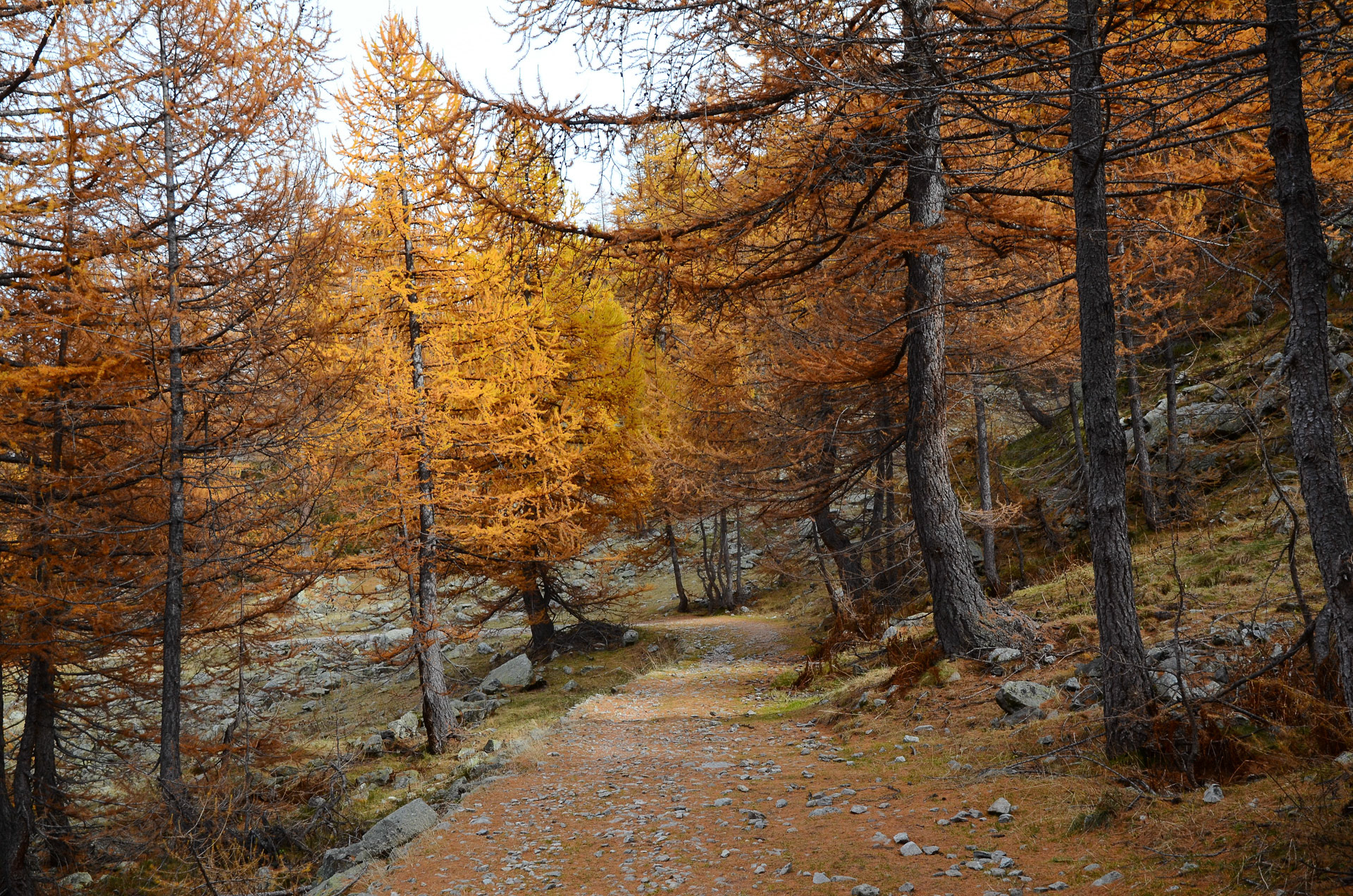 Vallée des Merveilles