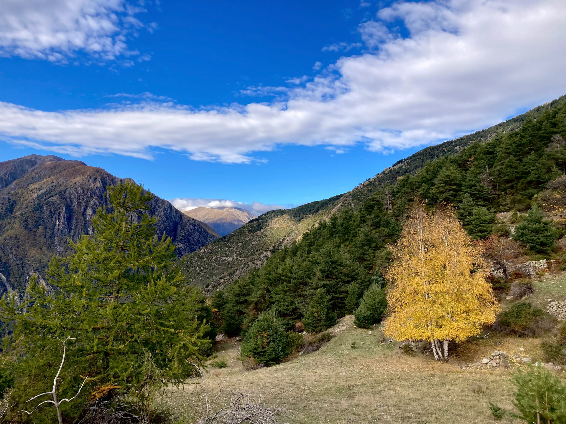 Le Frachet - Mercantour