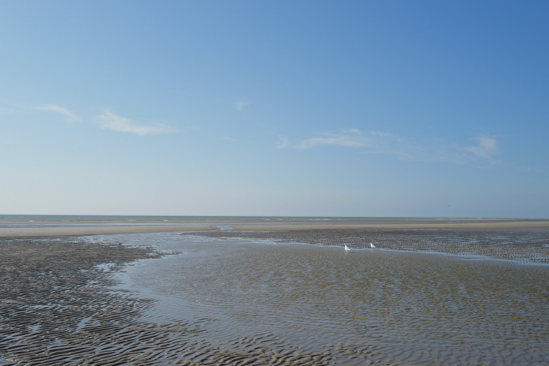 Hardelot