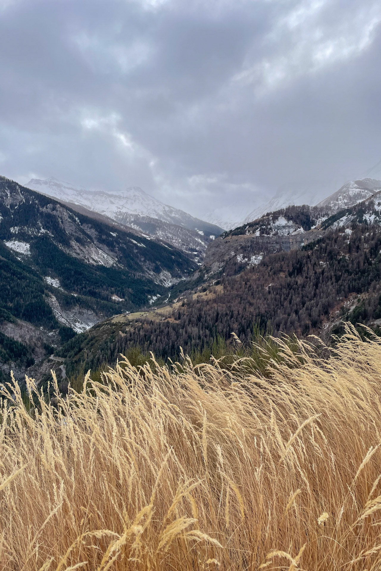 Auron