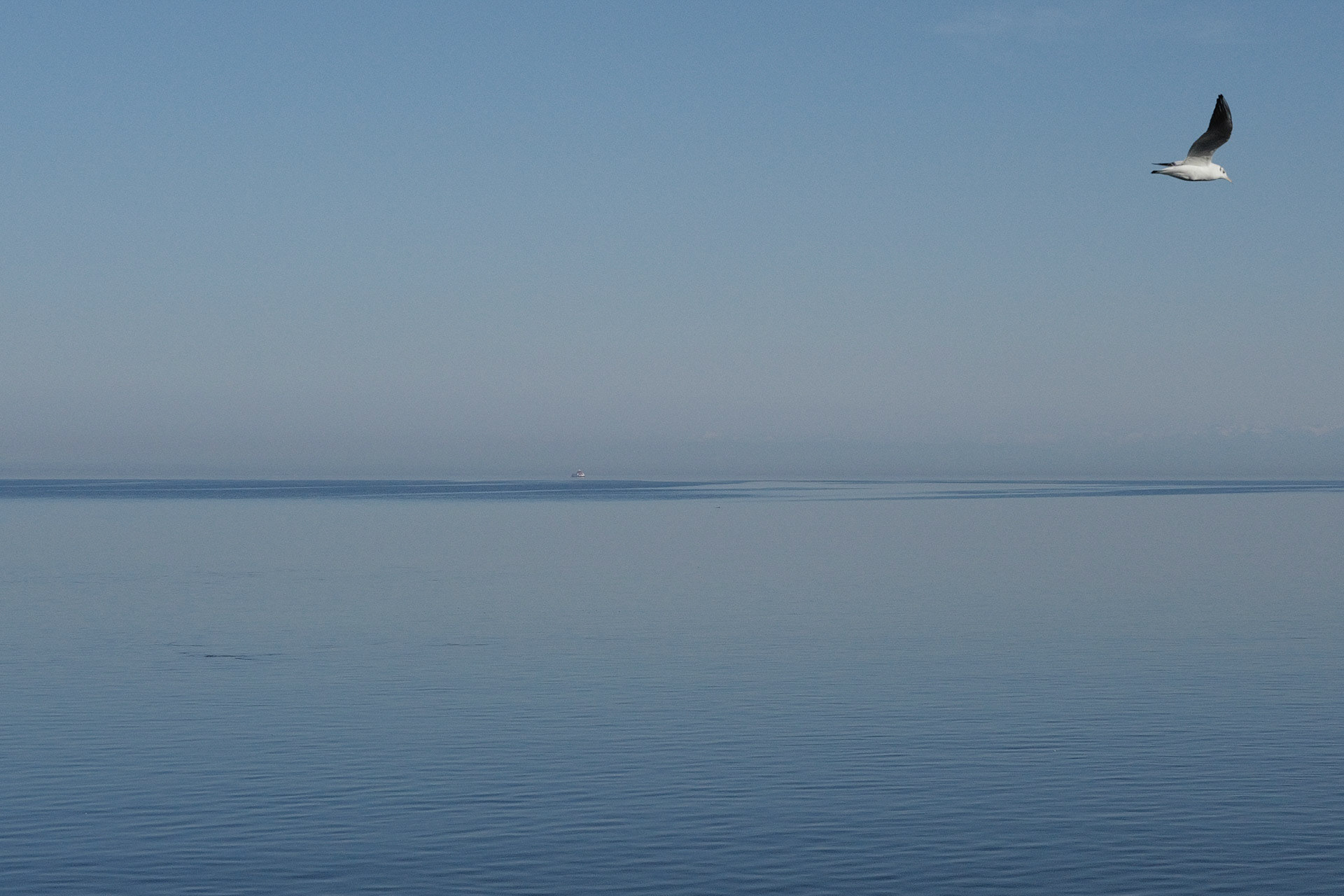 Lac de Constance