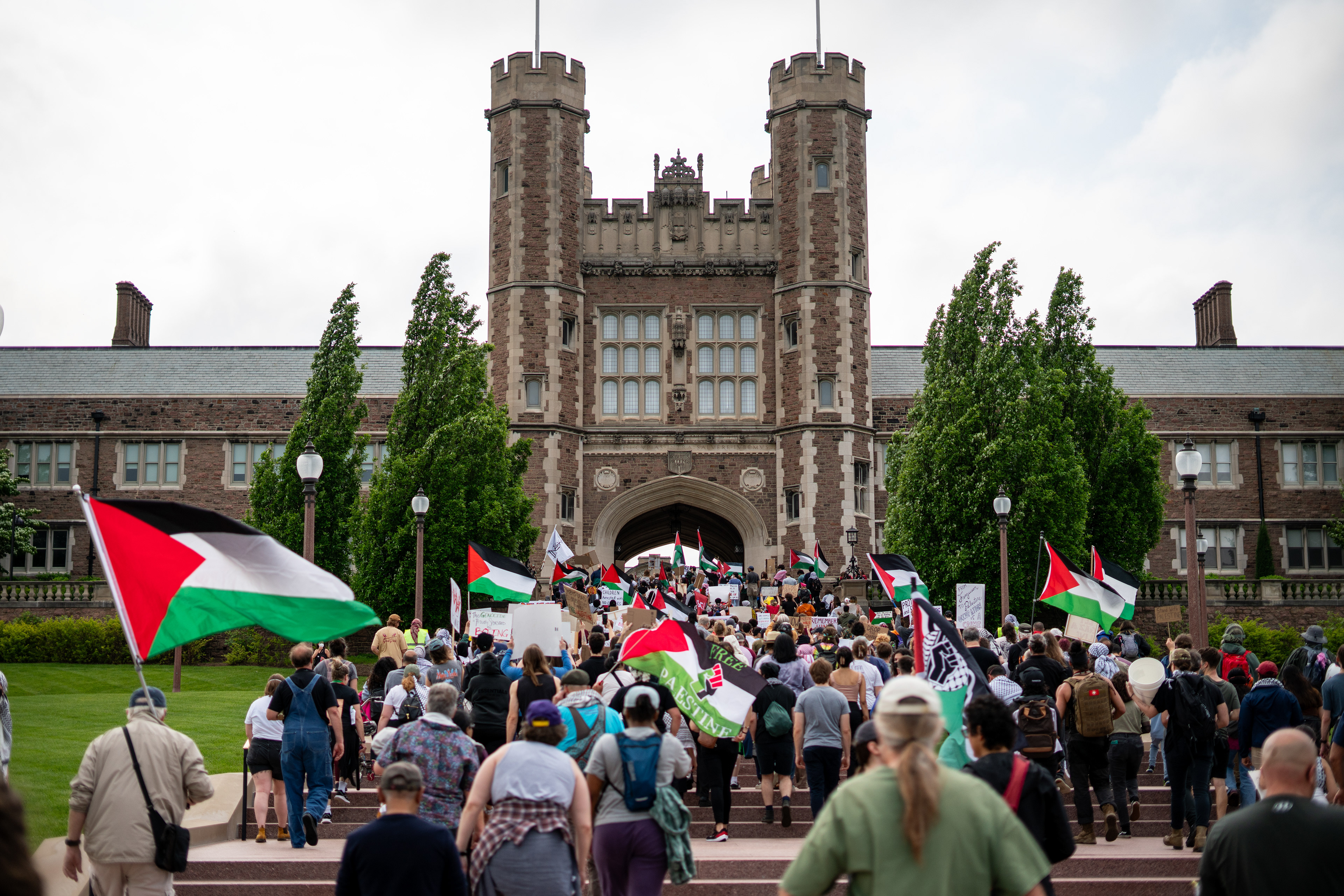 Pro-Palestine Campus Protest (WashU Student Life)