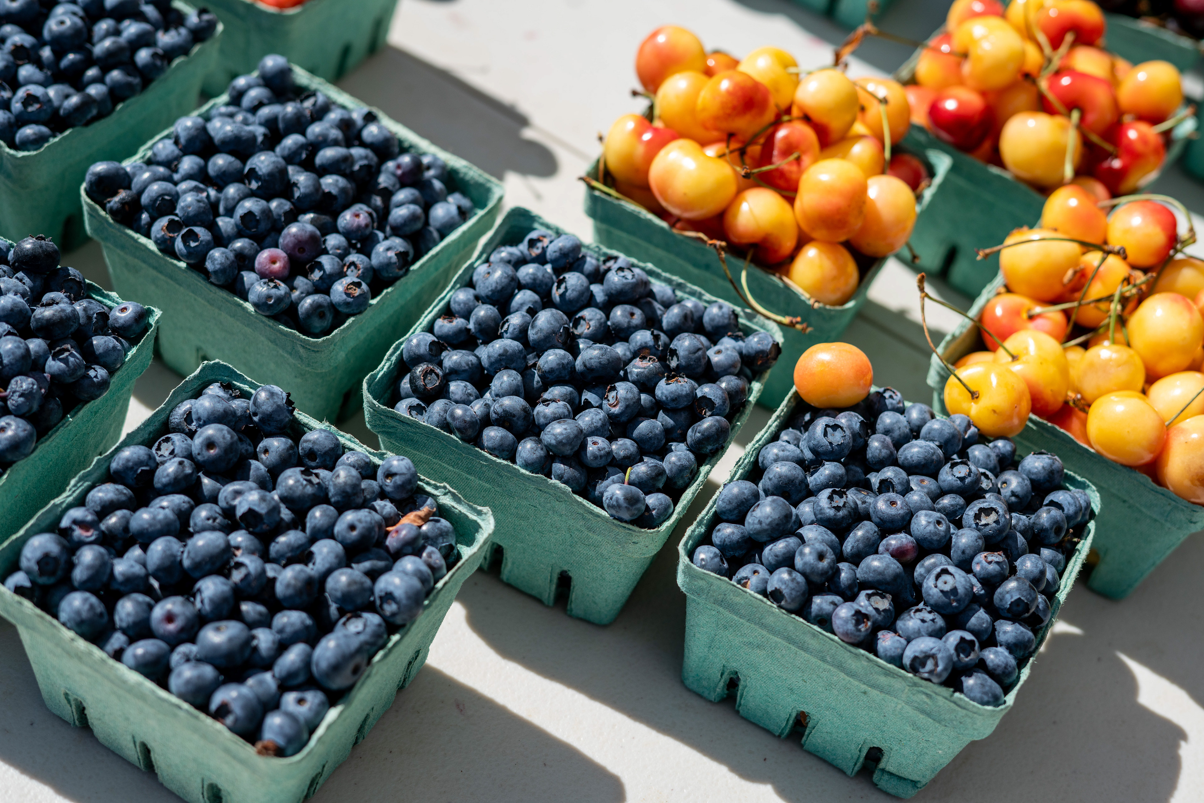Cedar Mill Farmer's Market (The Cedar Mill News)