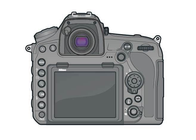 Nicon D850 linework illustration