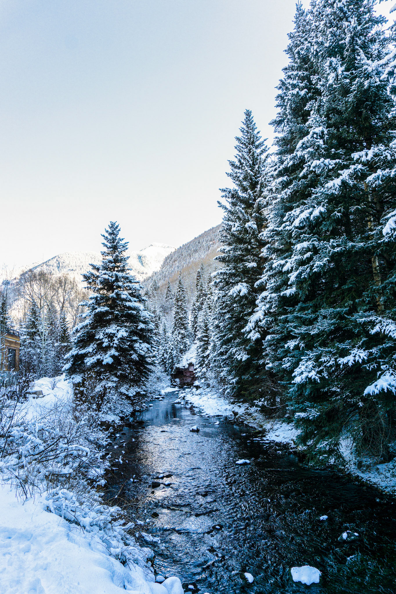 One of my old raft guide buddies was a ski instructor at the Telluride Ski School. in January 2018 she invited us up for the a weekend. It was kind of hard to tunr down free two day ski passes. Even though we had to sleep in the garge (thankfully it was a heated garage) the weekend was a success and I got a fantastic photo out fo the trip.