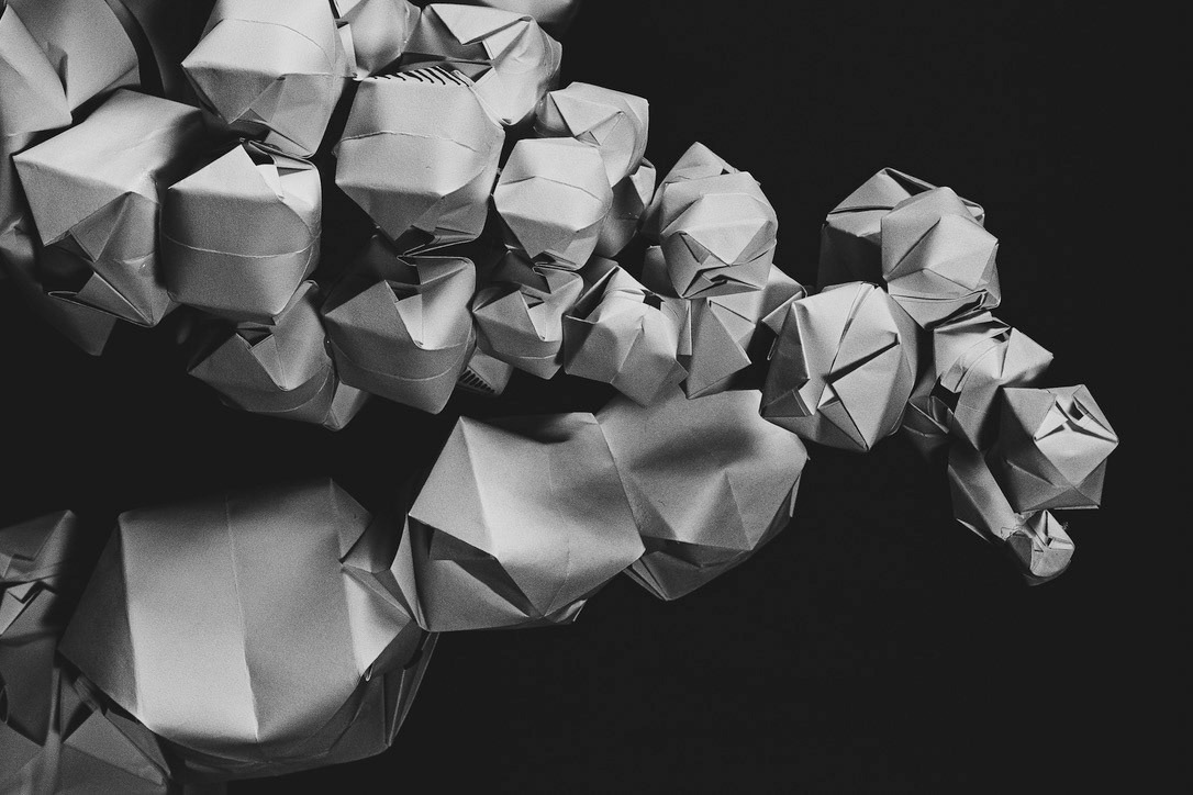 The mash of oragamia dn photography can be stunning