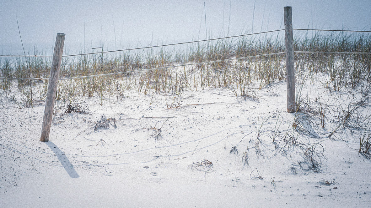 Wooden beach post, aftermath from Hurricane Sally on Johnson Beach, FL.