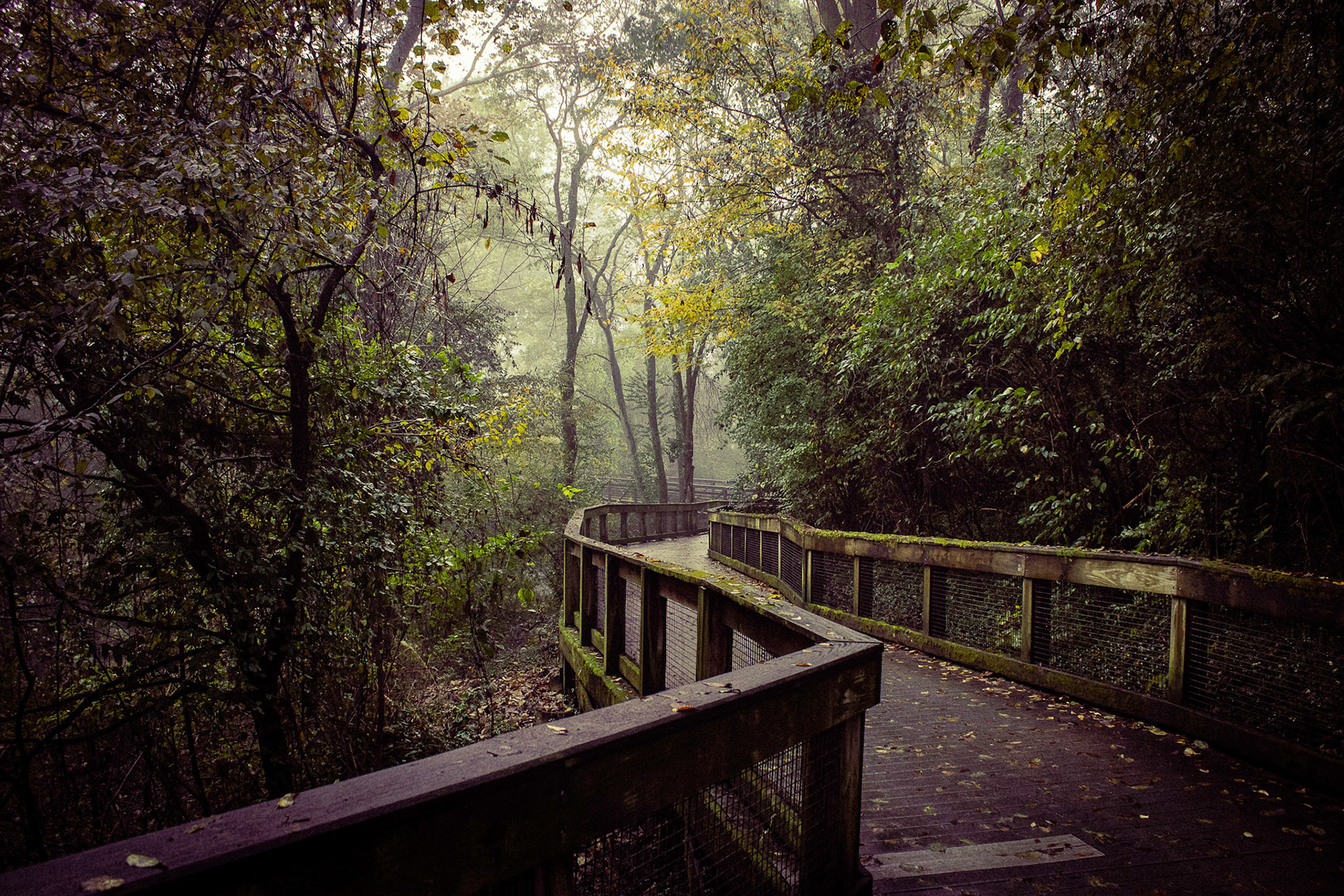 Photography from students at Nashville State Community College