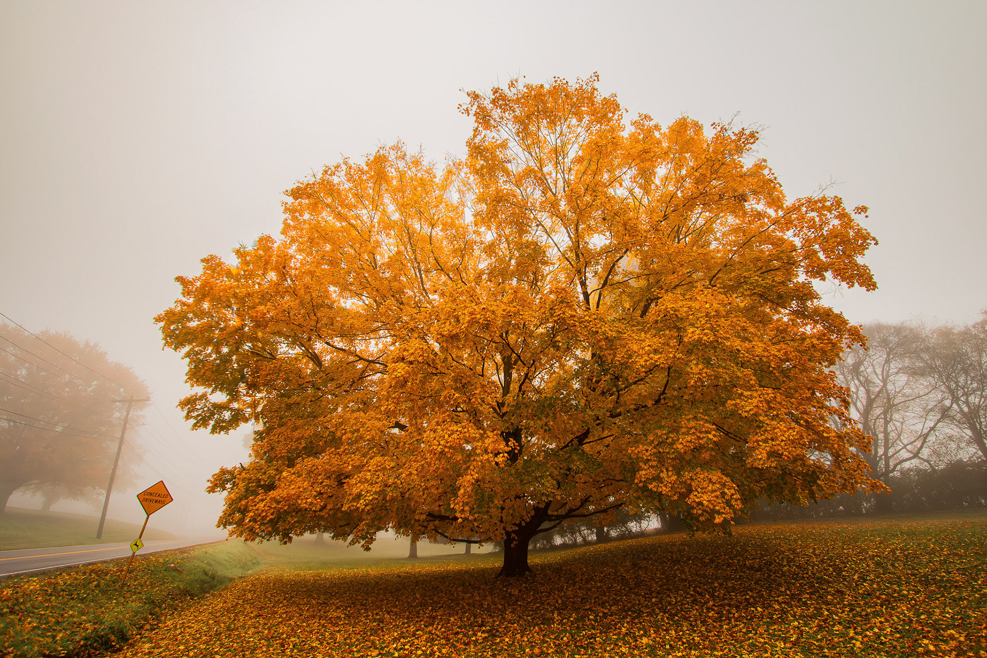 Photography School In Nashville win awards.