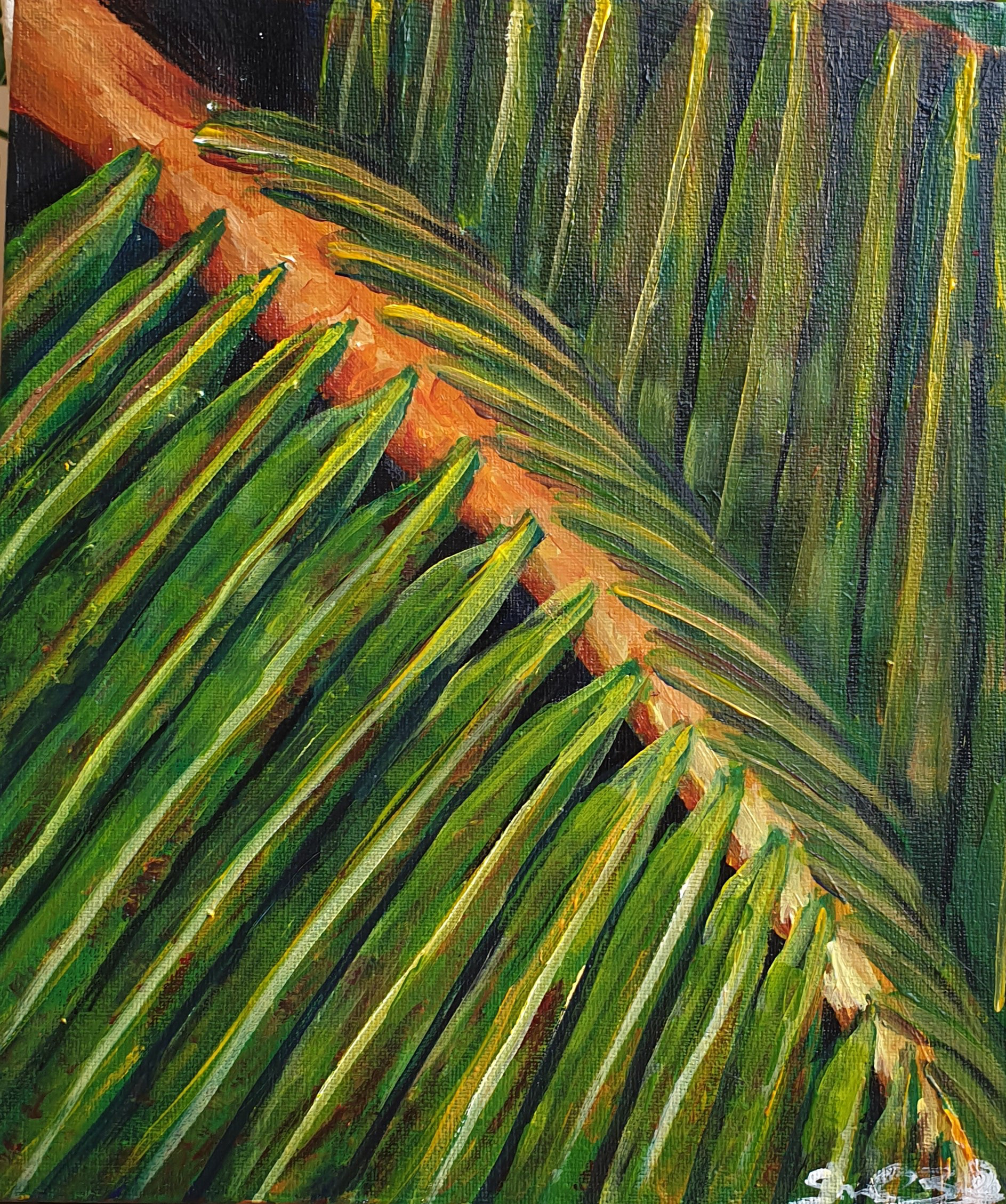 Study of Branches