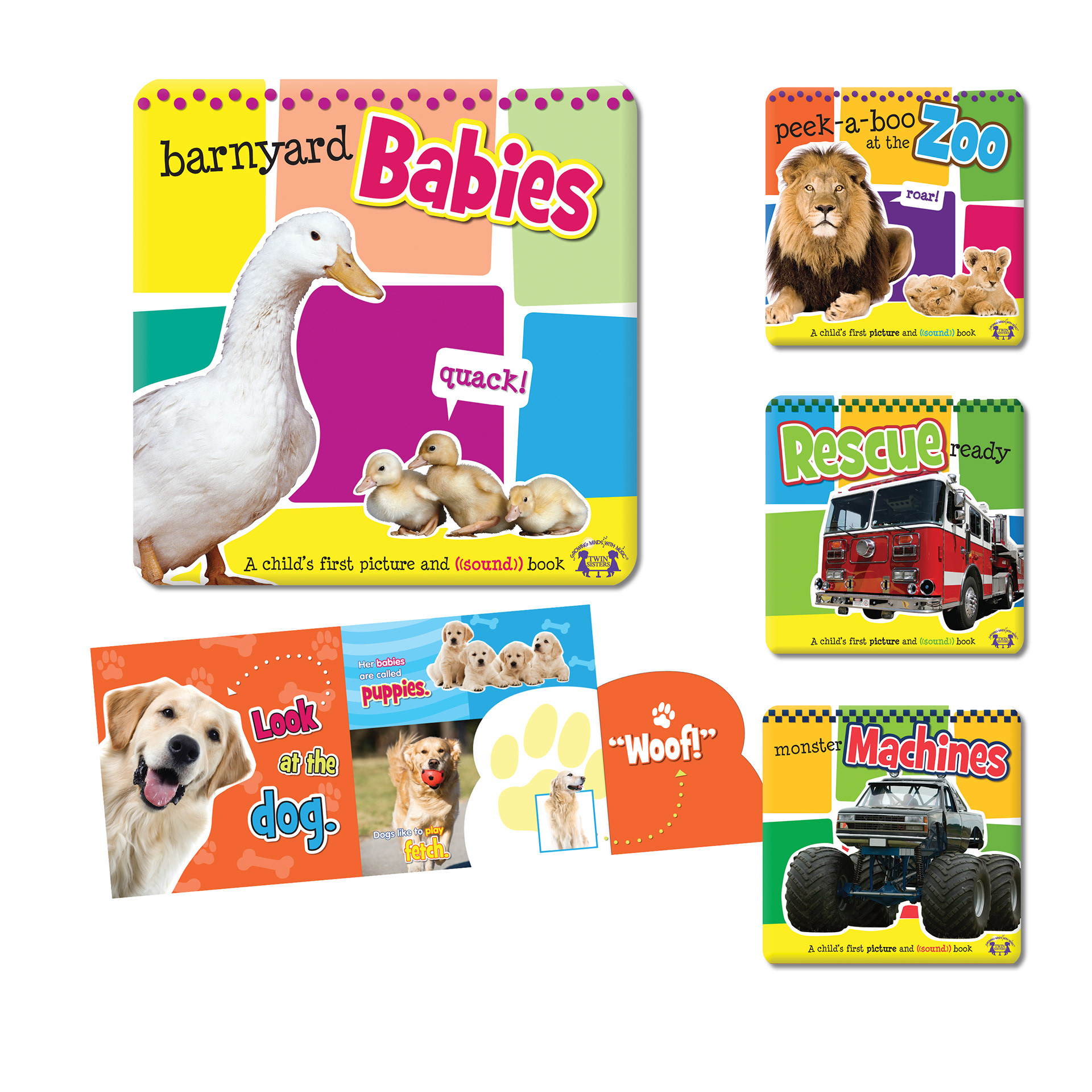 Picture & Sound Series | Twin Sisters Productions