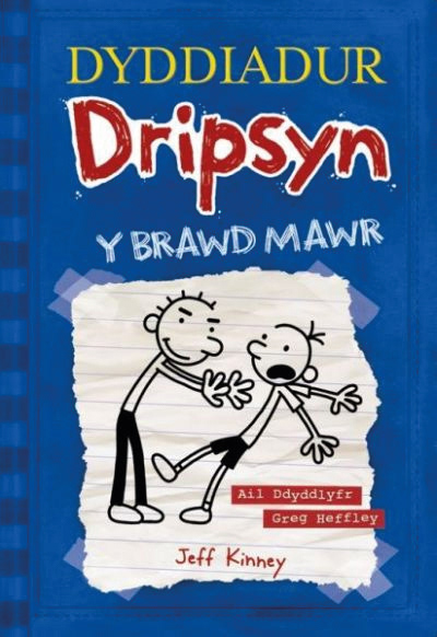 Dyddiadur Dripsyn 2