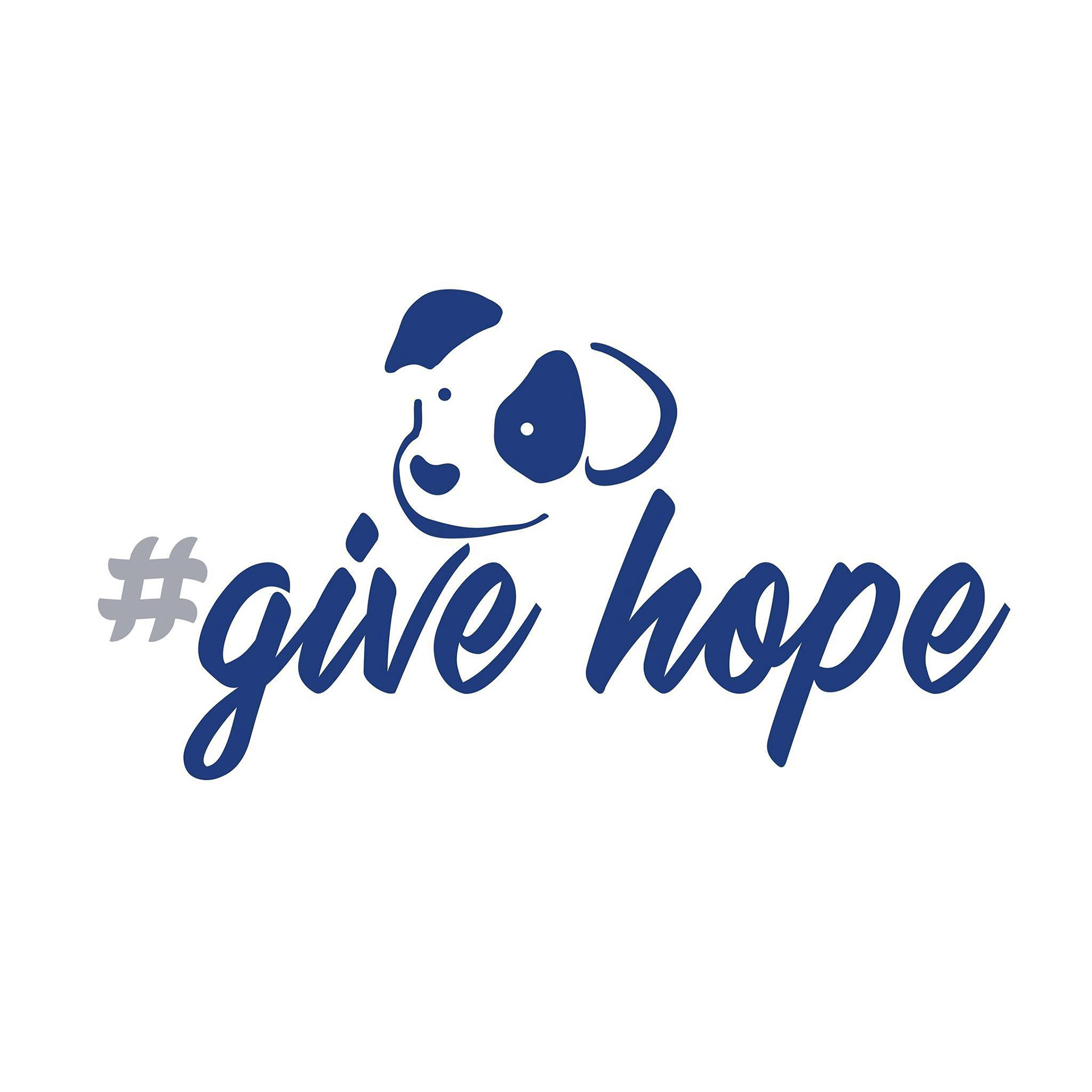 Donations to Animal Welfare Charities working in Ukraine