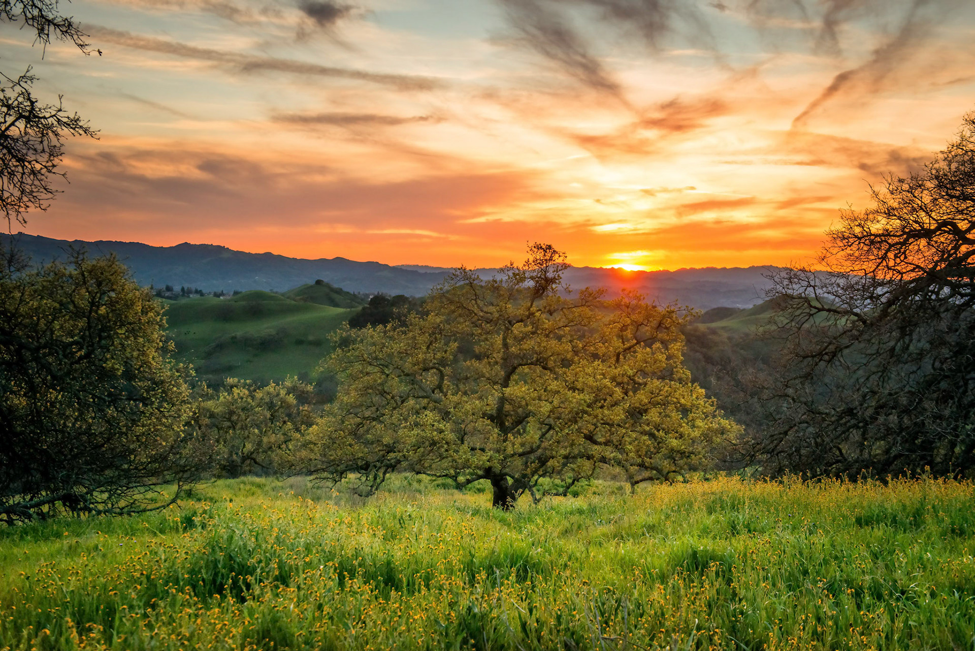 mt diablo, california
