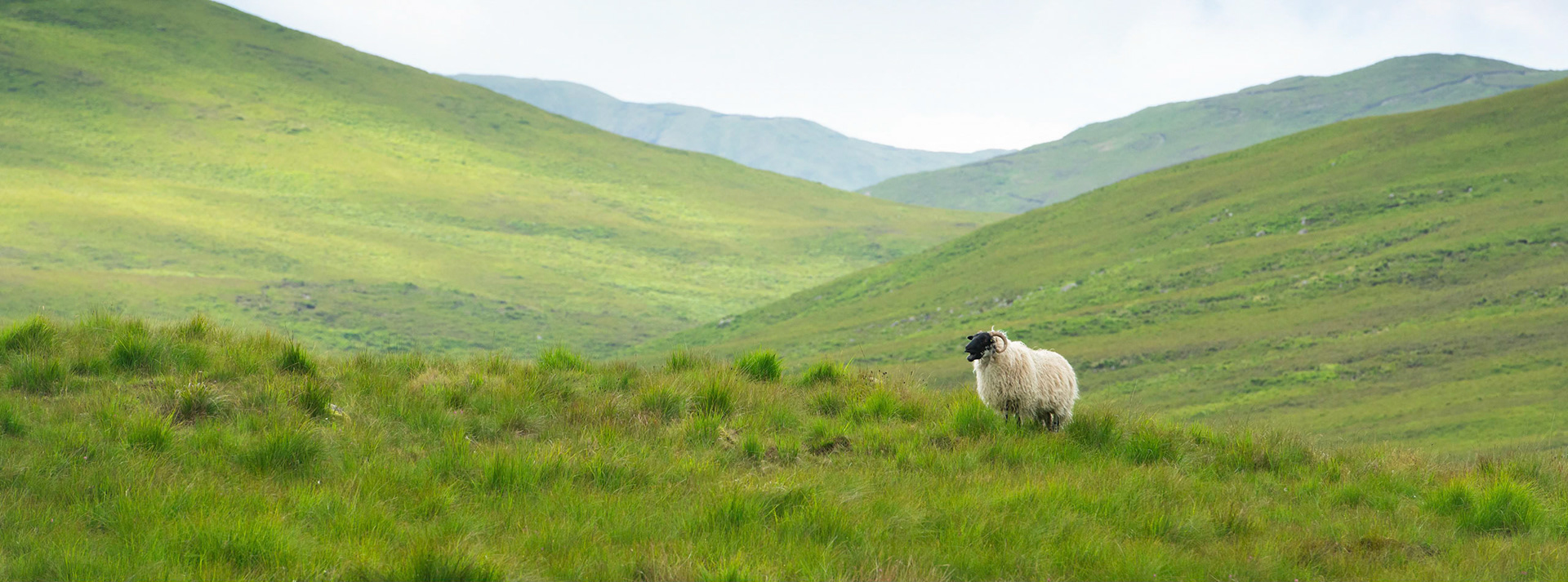 county galway, ireland
