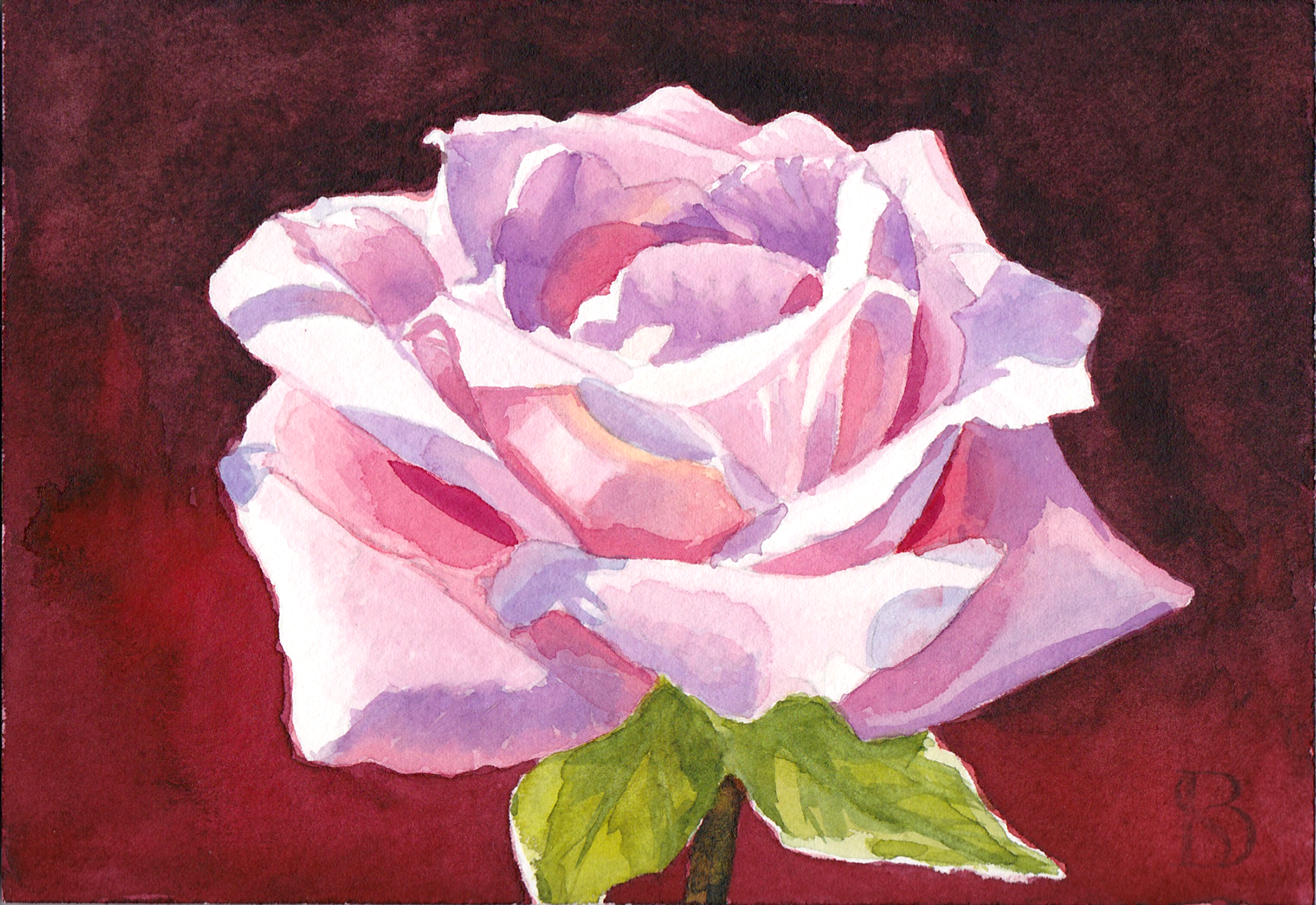 Rose in watercolor 5x7